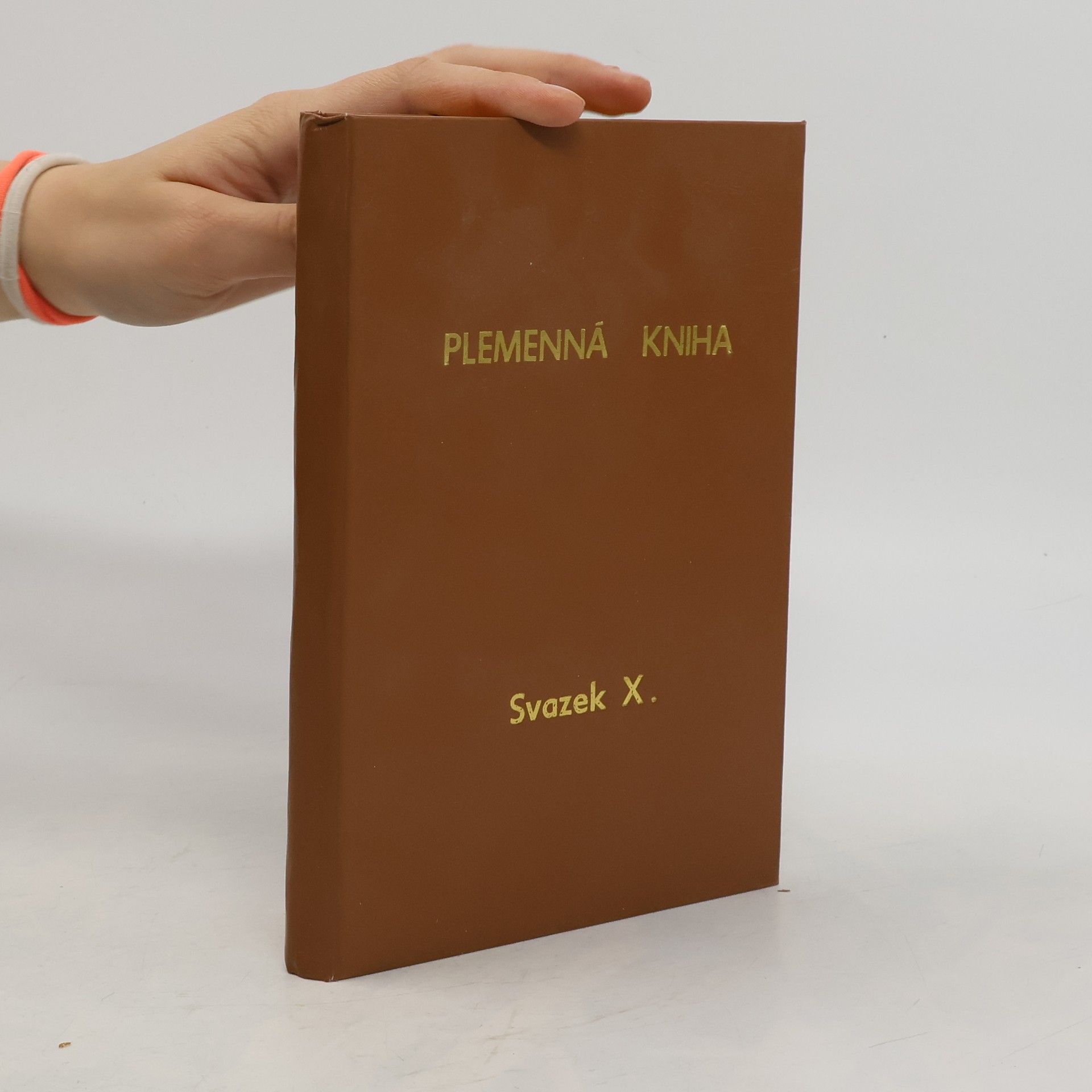 Collectif d'auteurs Plemenná kniha X.