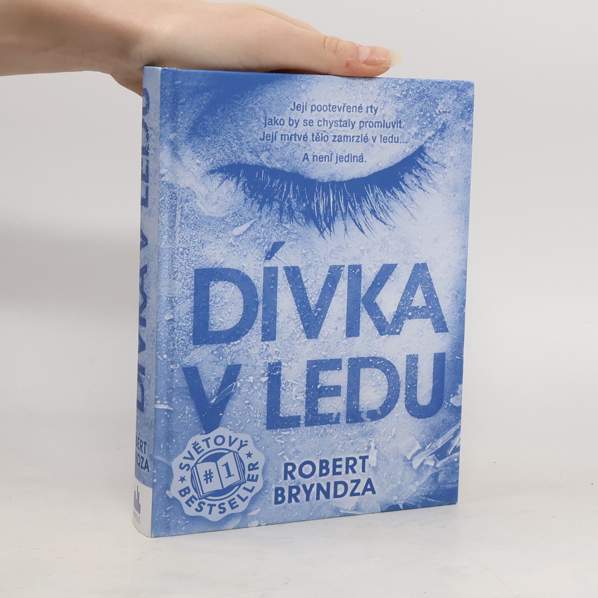 Robert Bryndza Dívka v ledu