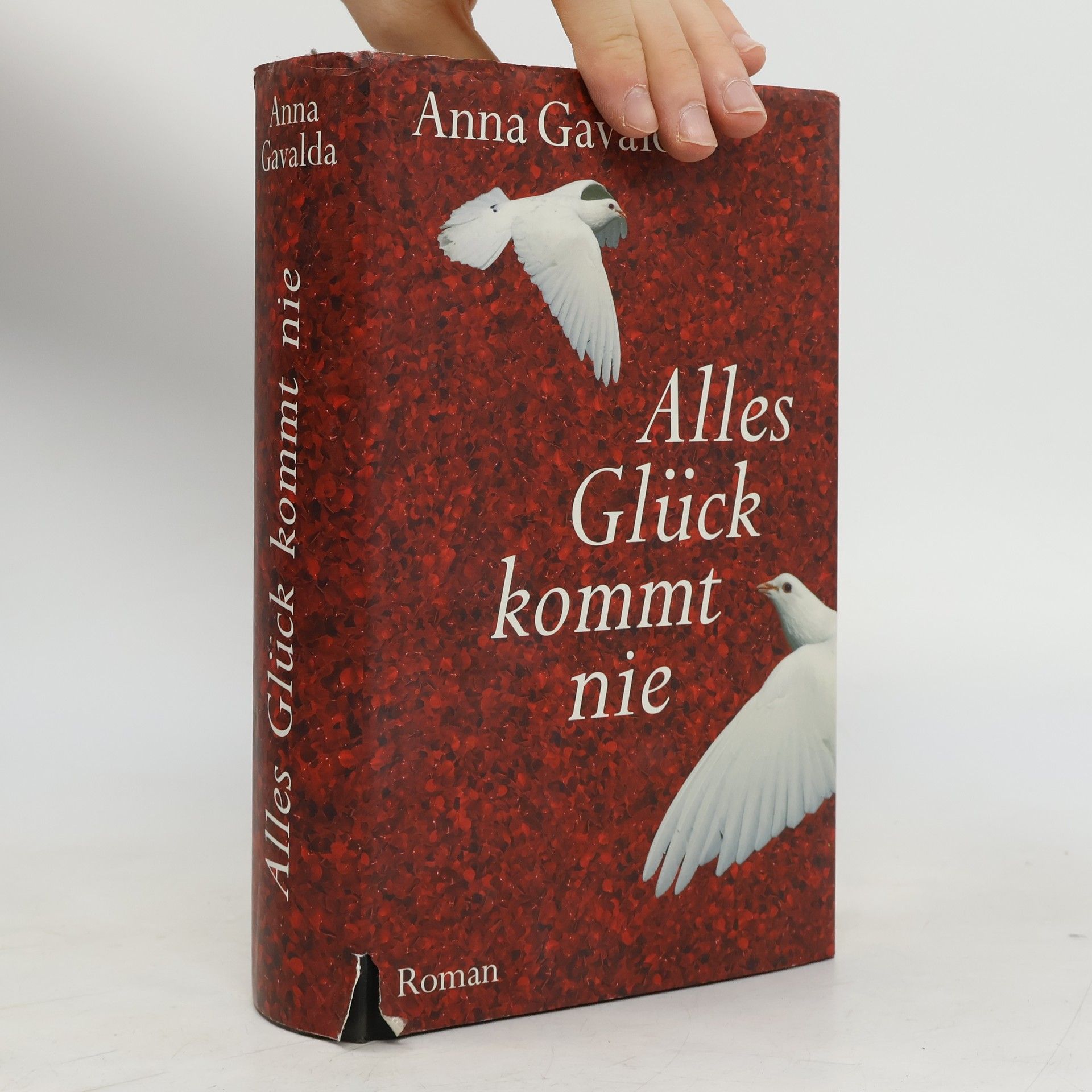 Anna Gavalda Alles Glück kommt nie