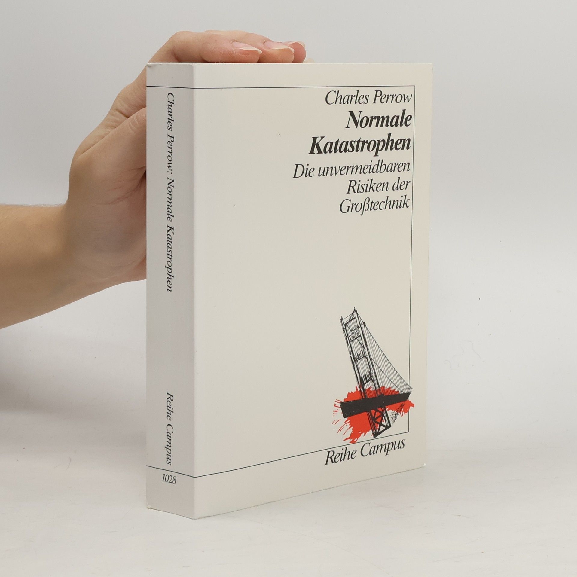 Charles Perrow Normale Katastrophen