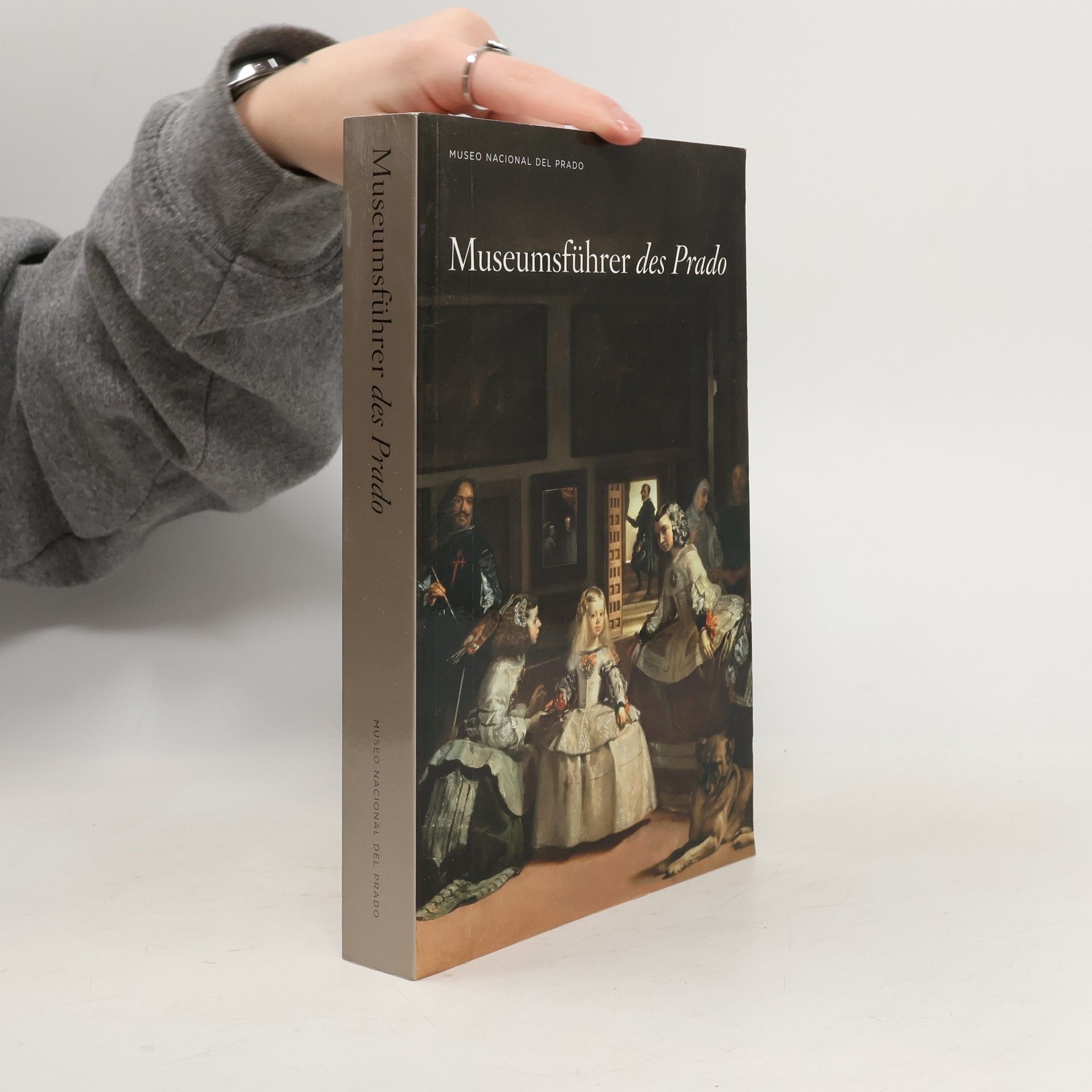 Alberto Pancorbo Museo Nacional del Prado: Museumsführer des Prado