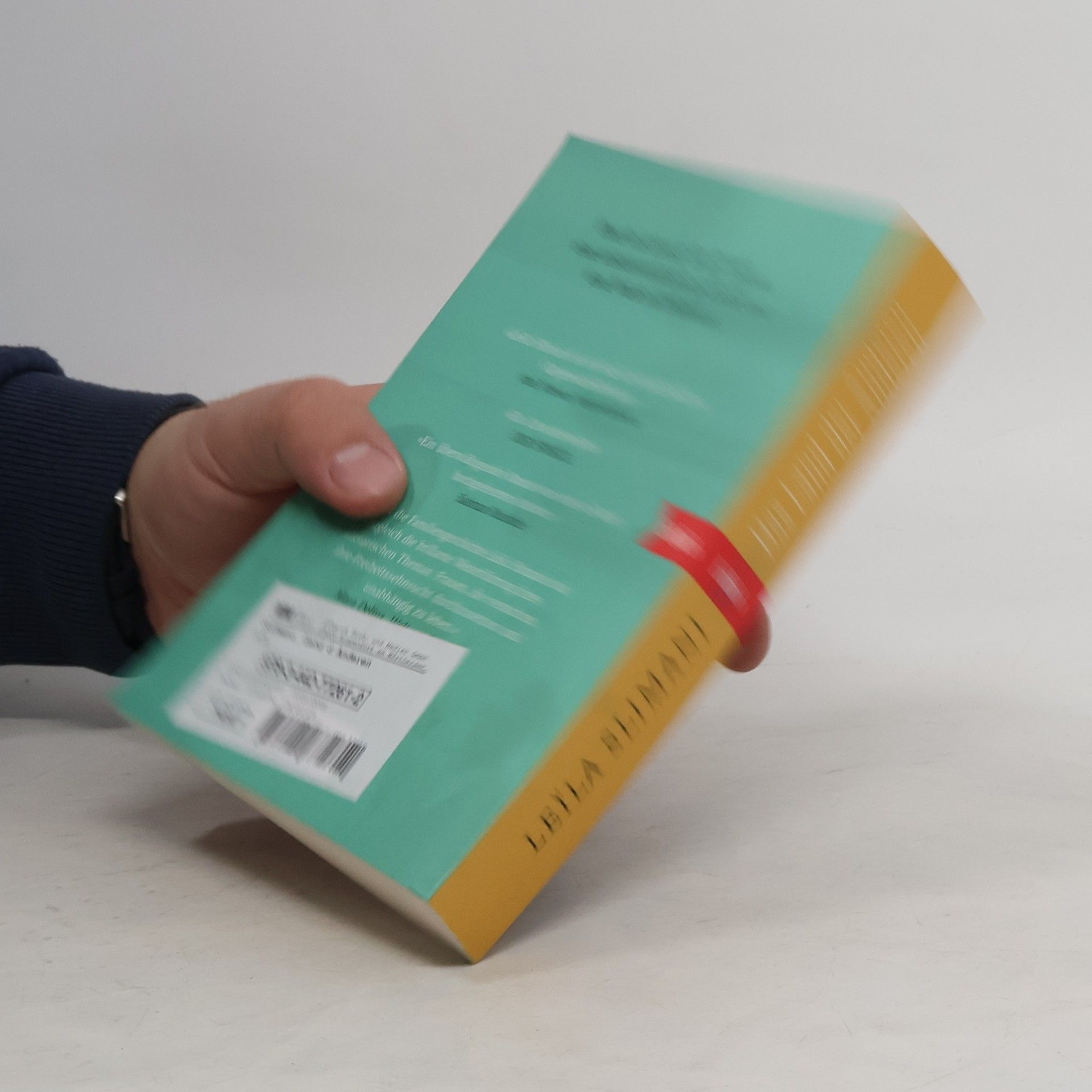 Leïla Slimani Das Land der Anderen