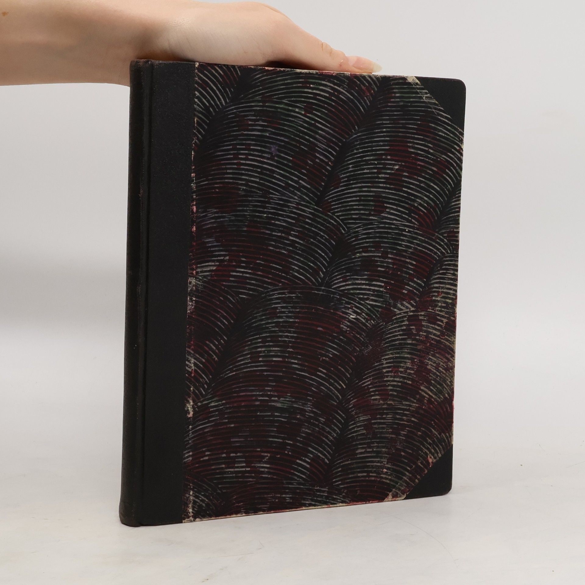 Hanna Kvapilová Česká dívka IV. Číslo 1. 8/1907