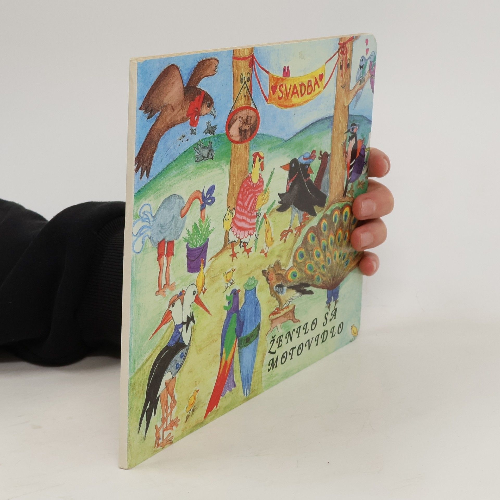 Ženilo sa motovidlo