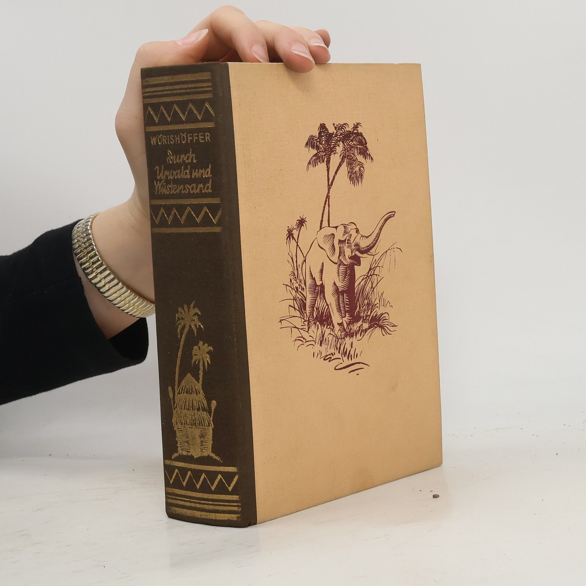 Sophie Wörishöffer Durch Urwald und Wüstensand