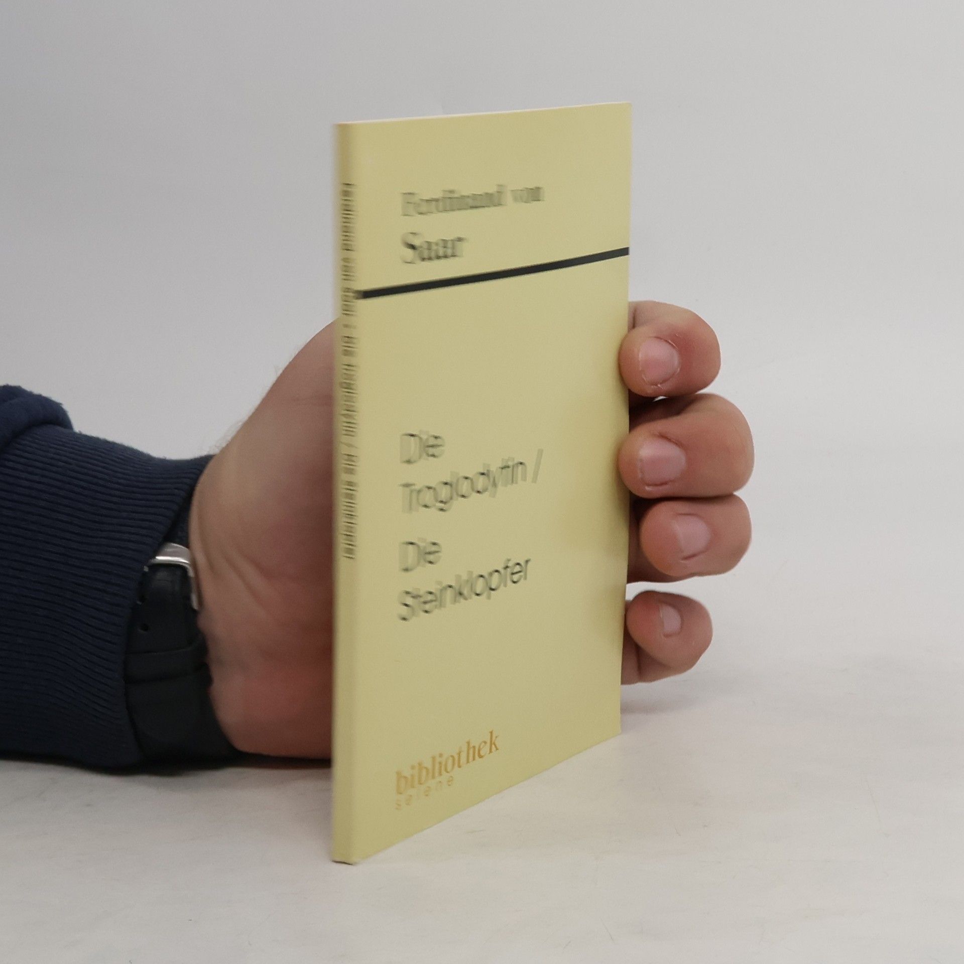 Ferdinand von Saar Die Troglodytin. Die Steinklopfer