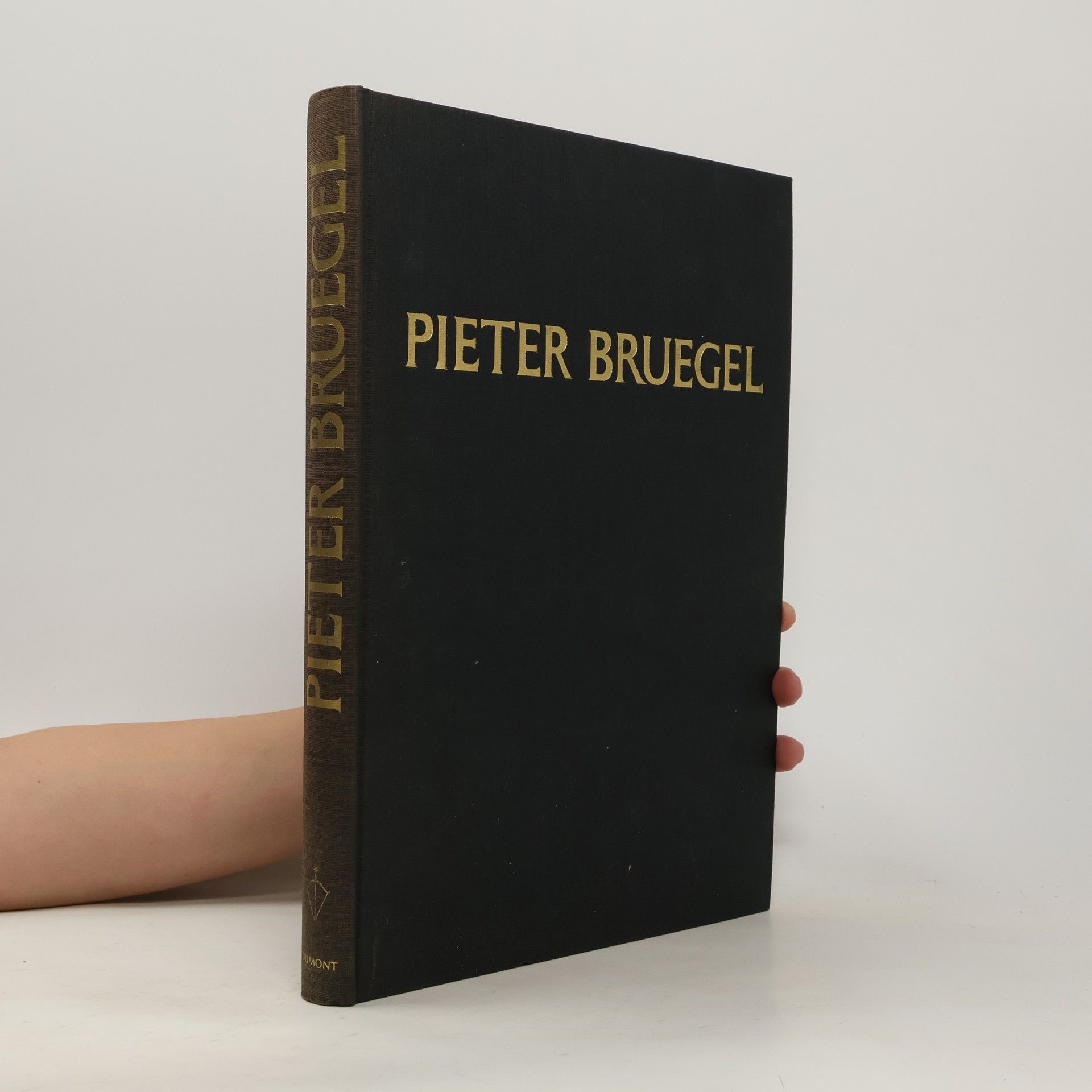 Wolfgang Stechow Bruegel