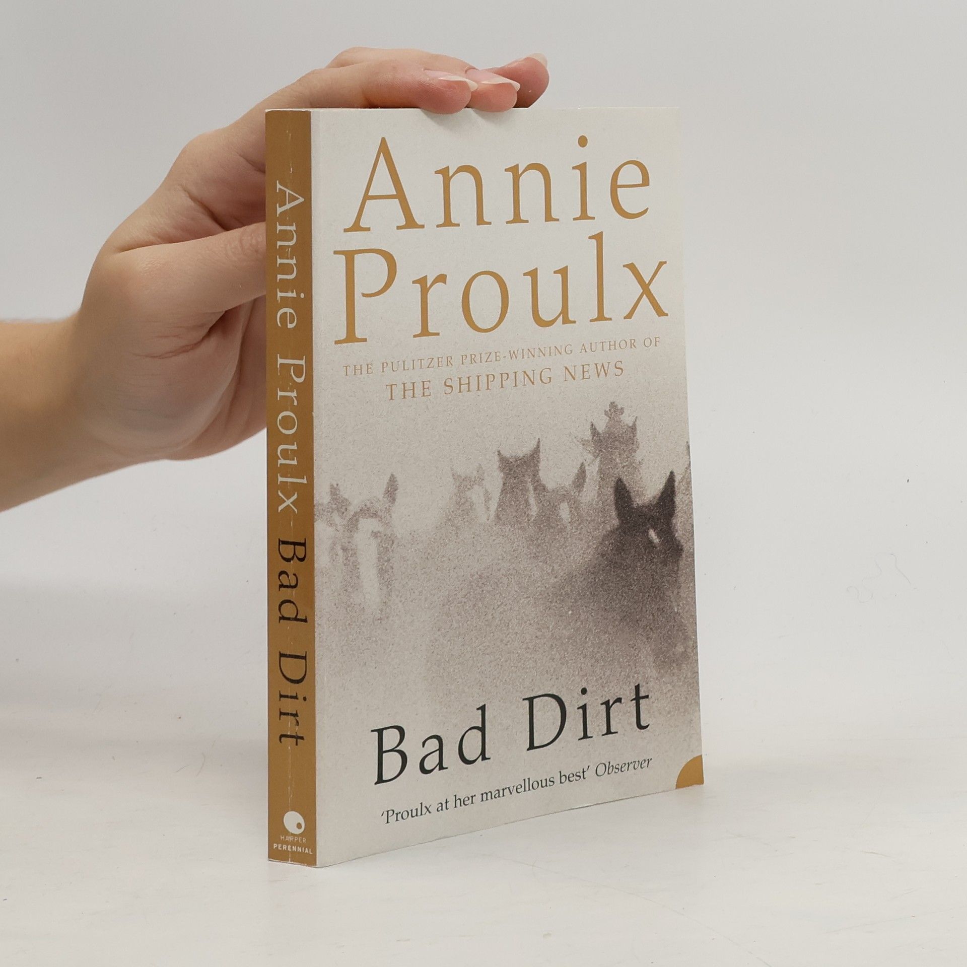 Annie Proulx Bad Dirt - Wyoming Stores 2