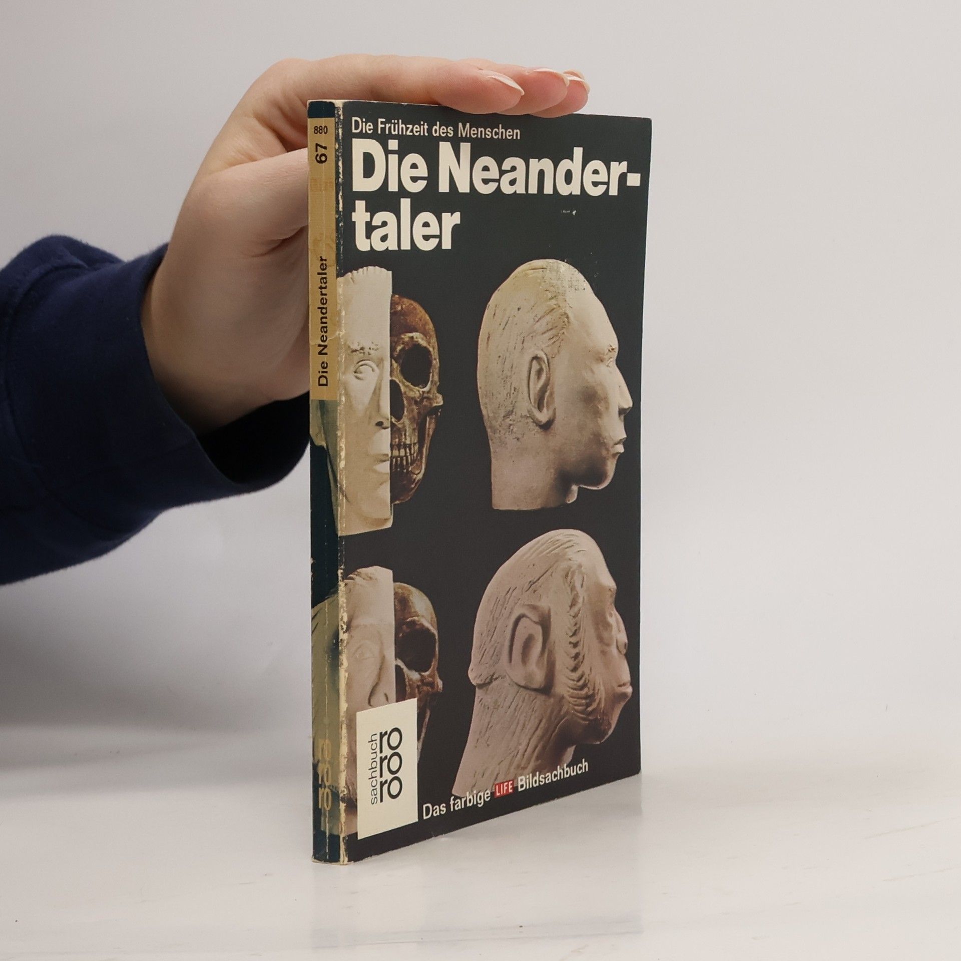 George Constable Die Neandertaler