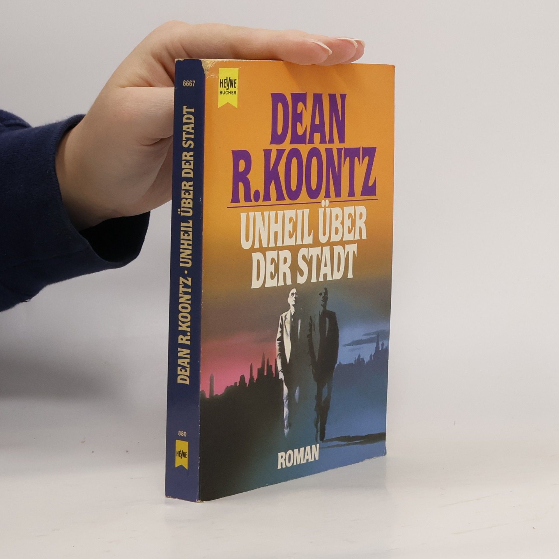 Dean R. Koontz Unheil über der Stadt