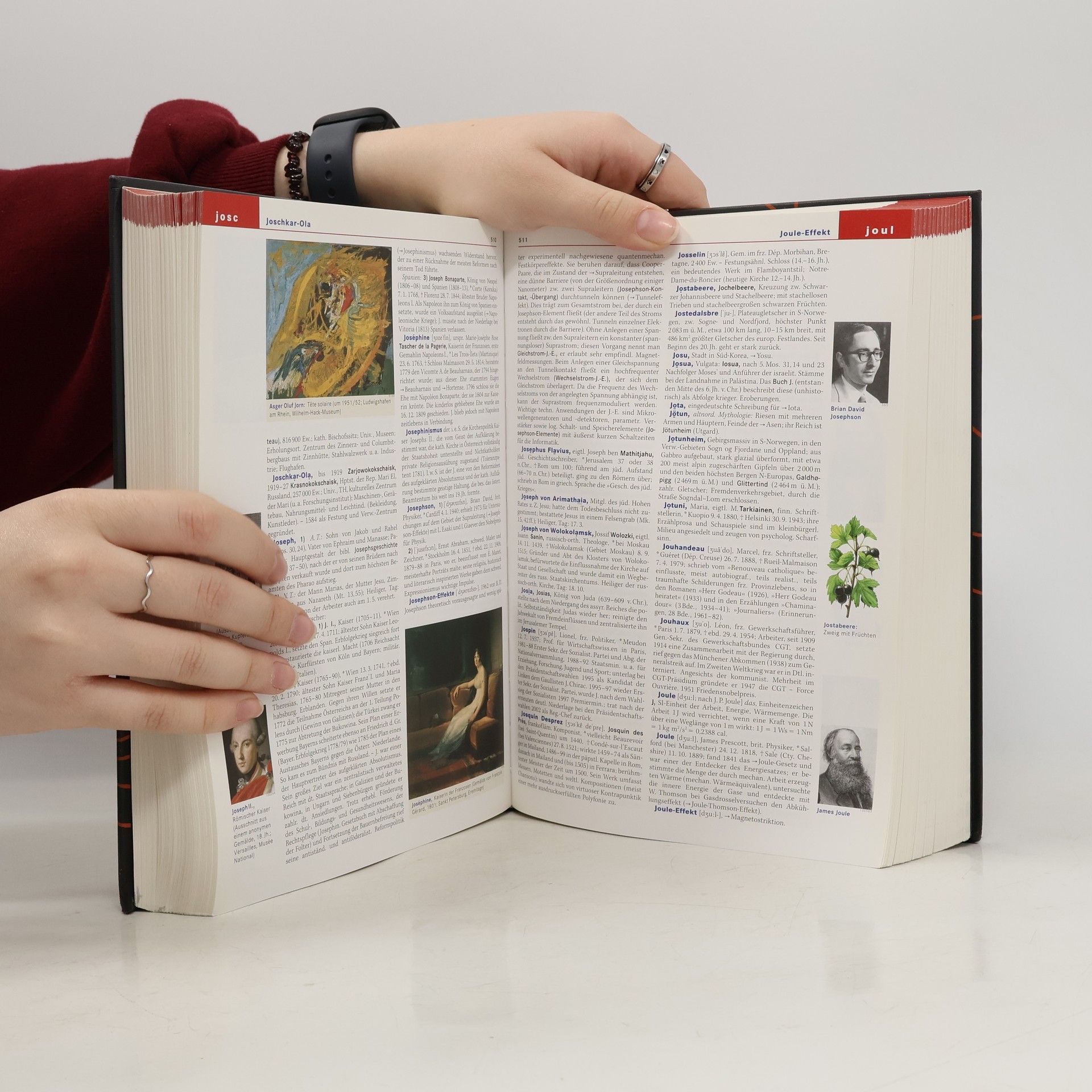 Autorenkollektiv Der Brockhaus 3
