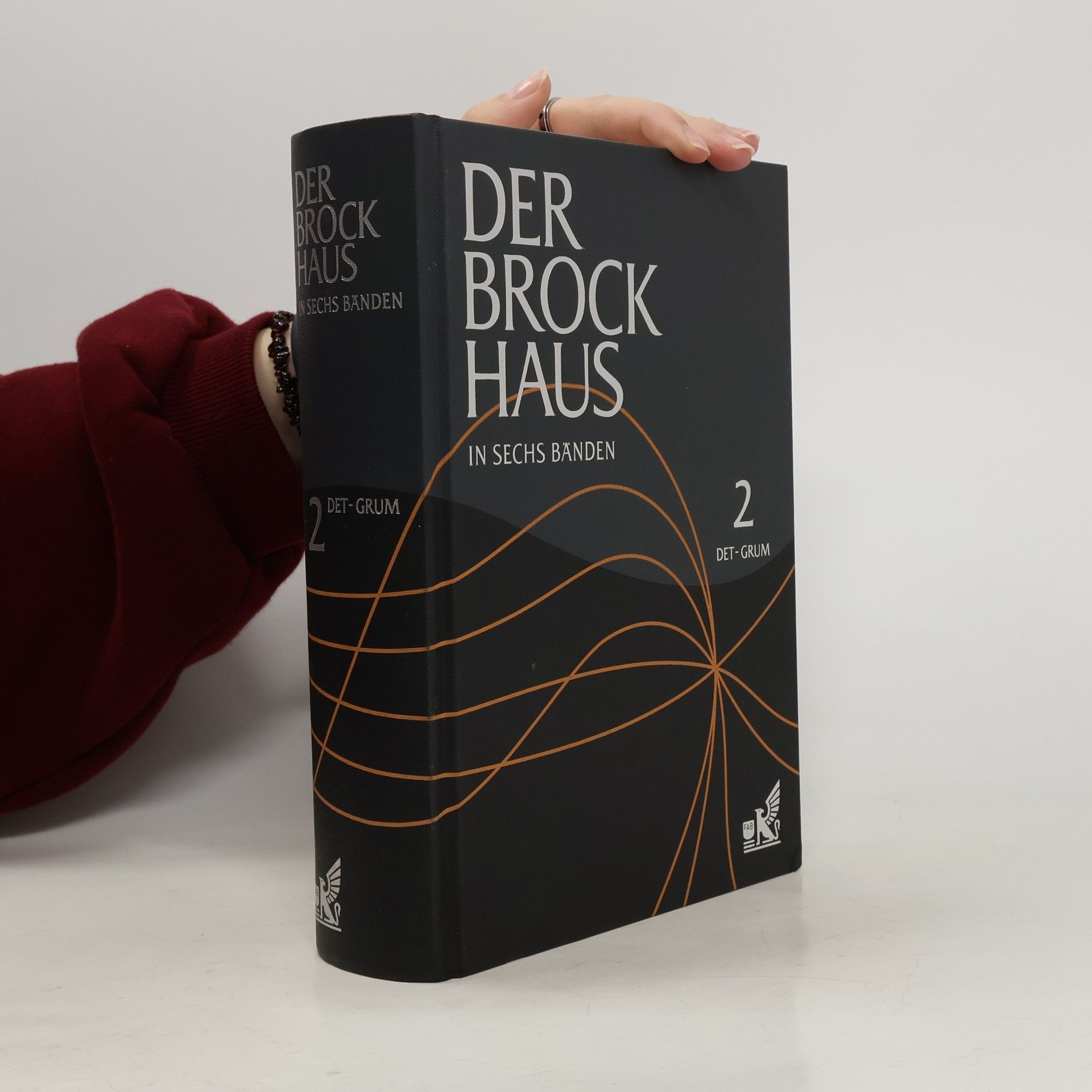 Collectif d'auteurs Der Brockhaus 6. Stein-ZZ
