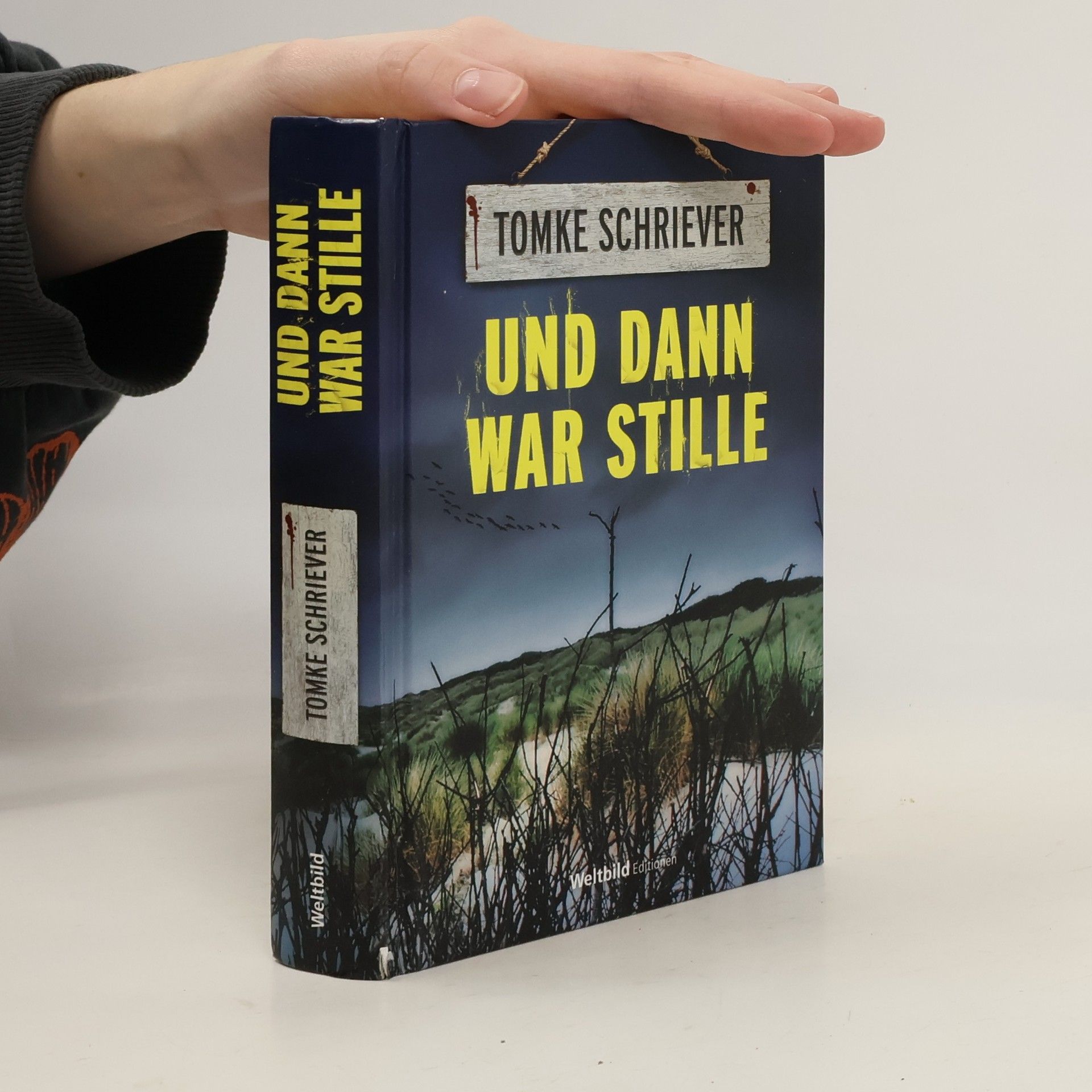 Tomke Schriever Und dann war Stille