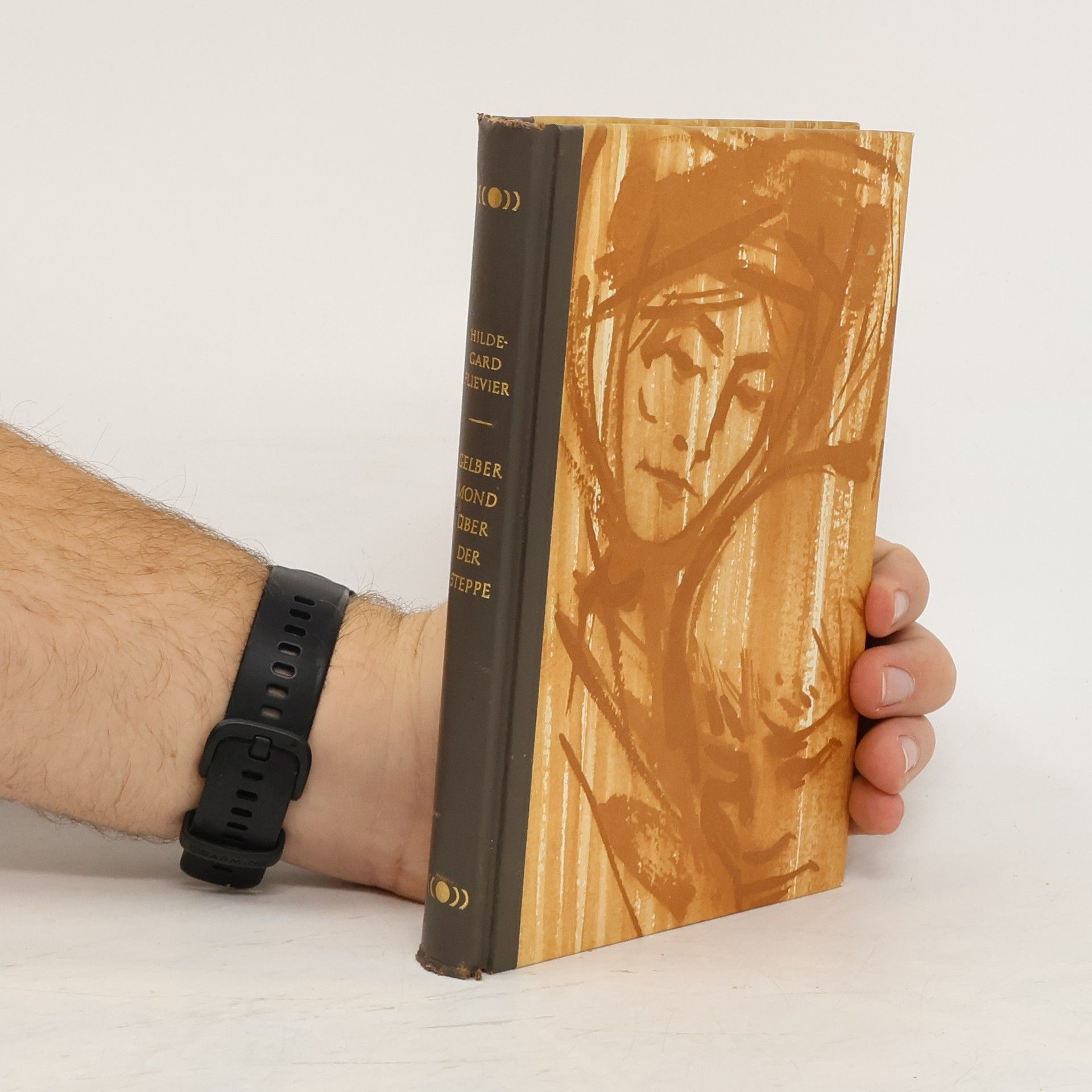 Gelbert Mond über der Steppe