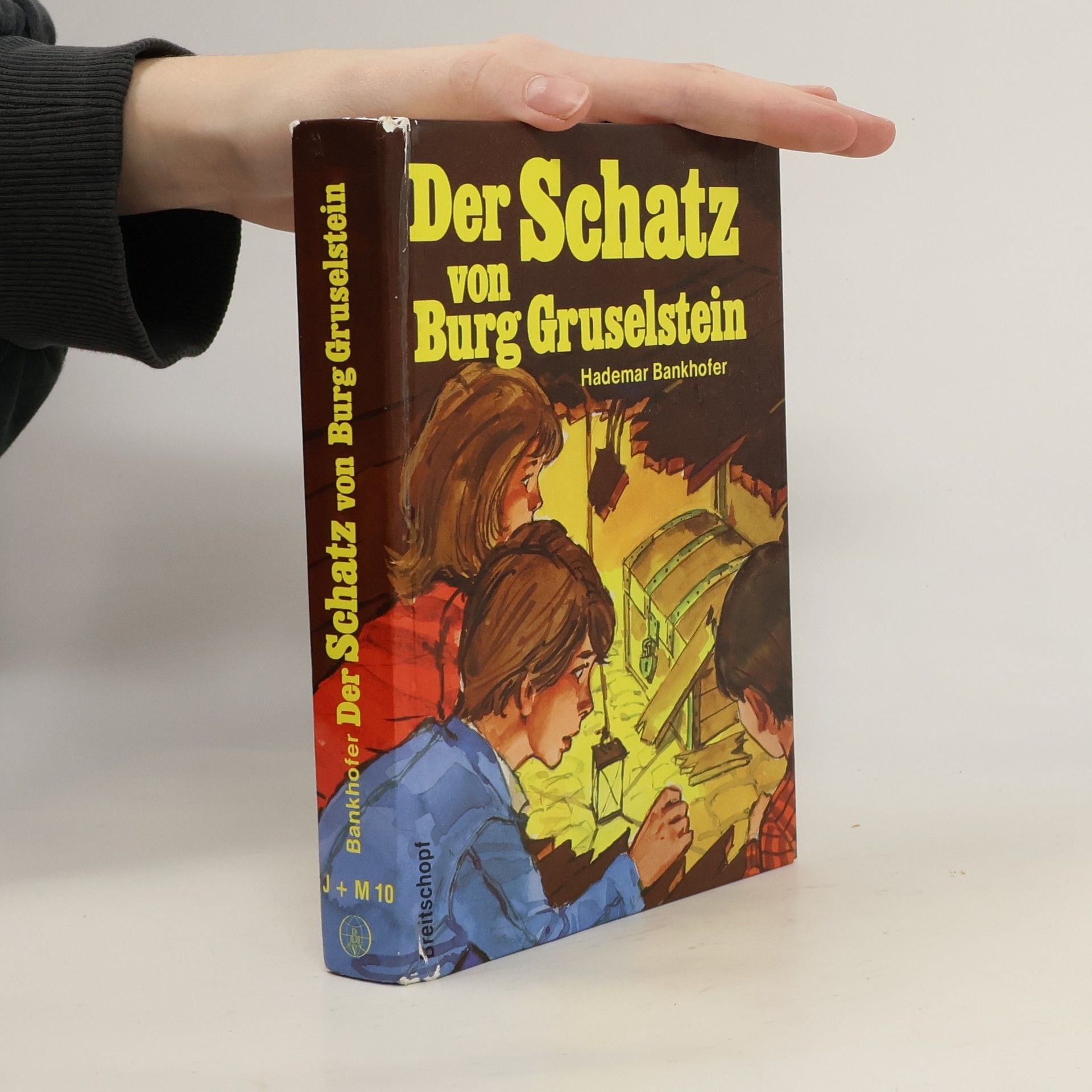 Hademar Bankhofer Der Schatz von Burg Gruselstein