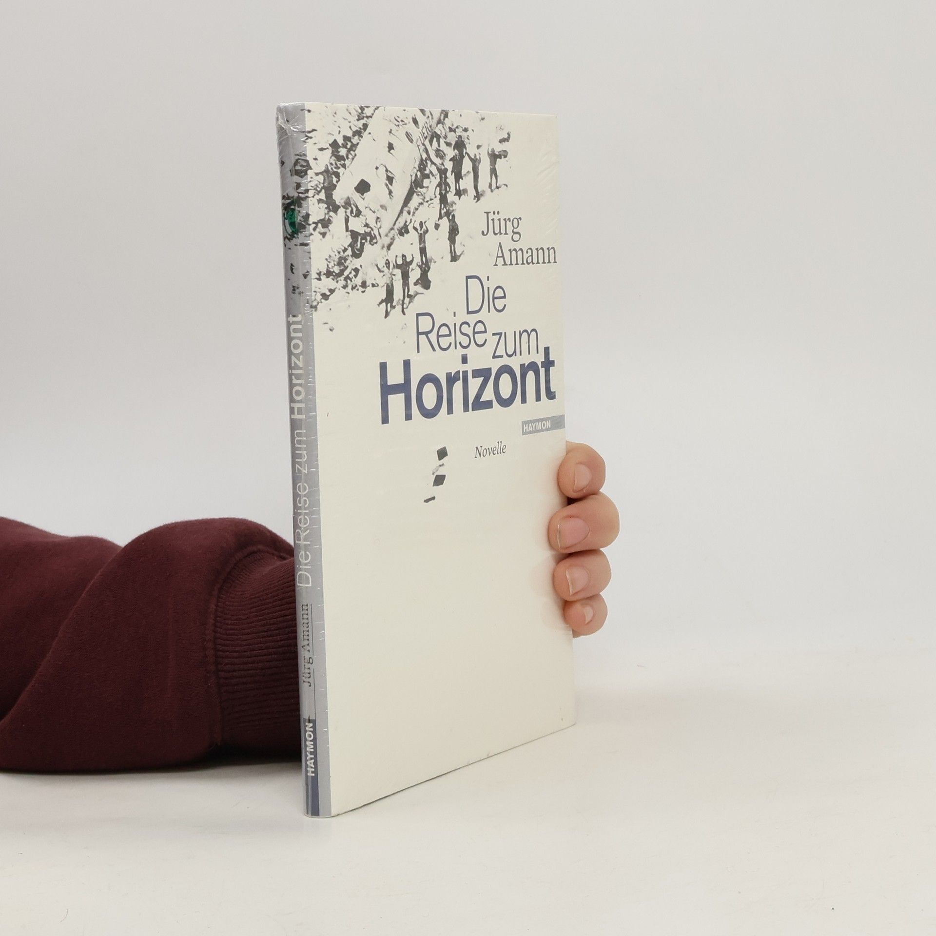 Jürg Amann Die Reise zum Horizont