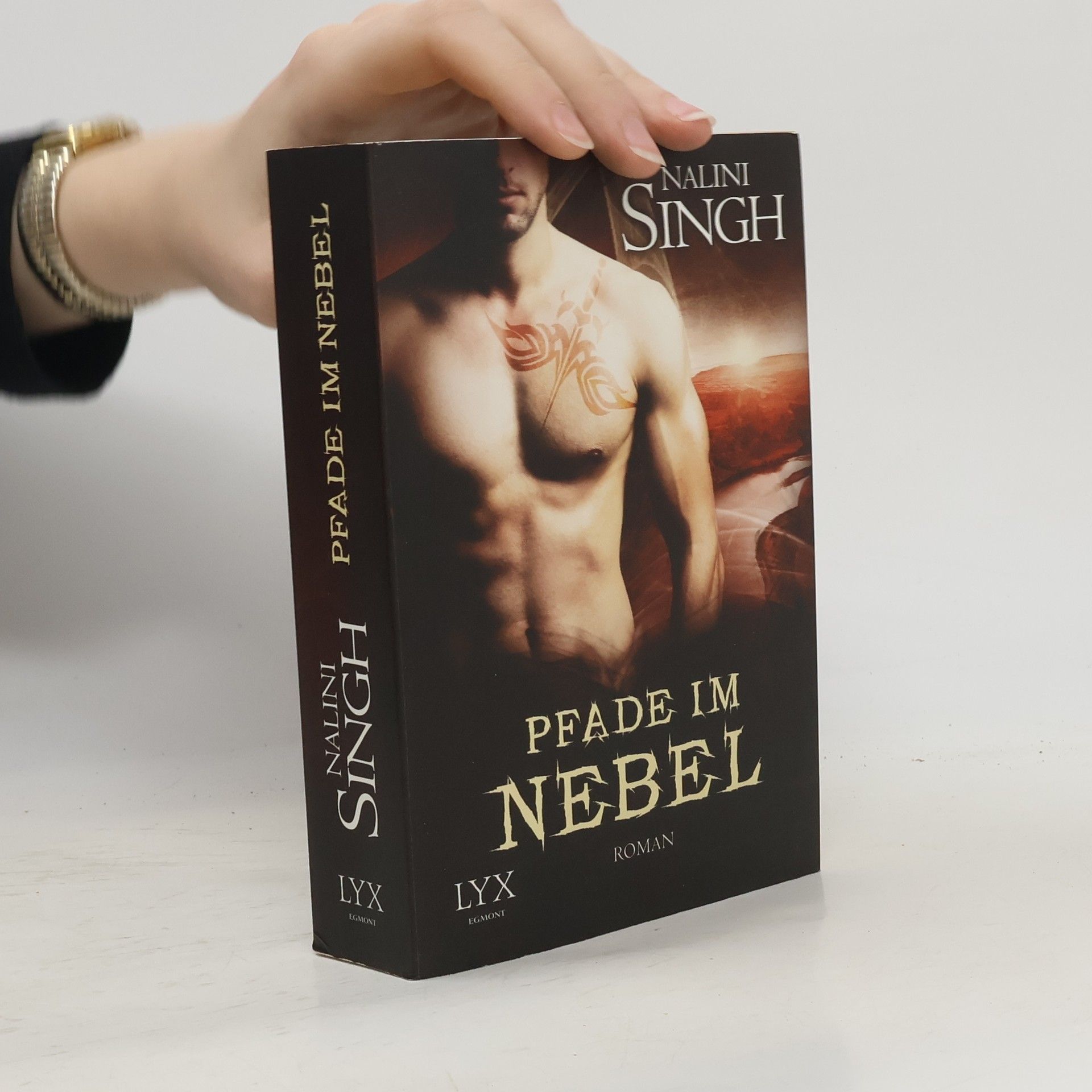 Nalini Singh Pfade im Nebel