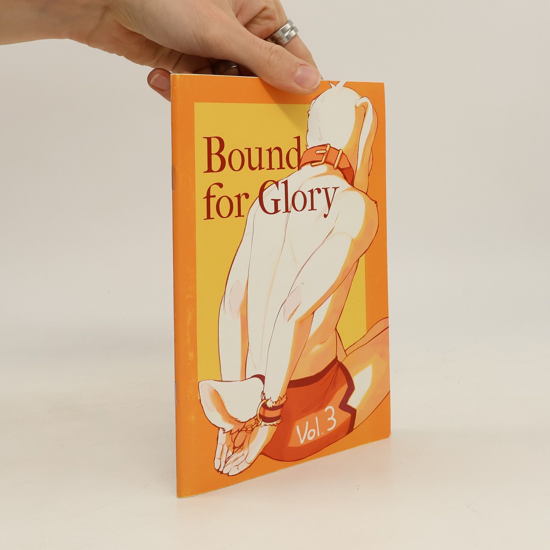 Kolektiv autorů Bound for Glory 3