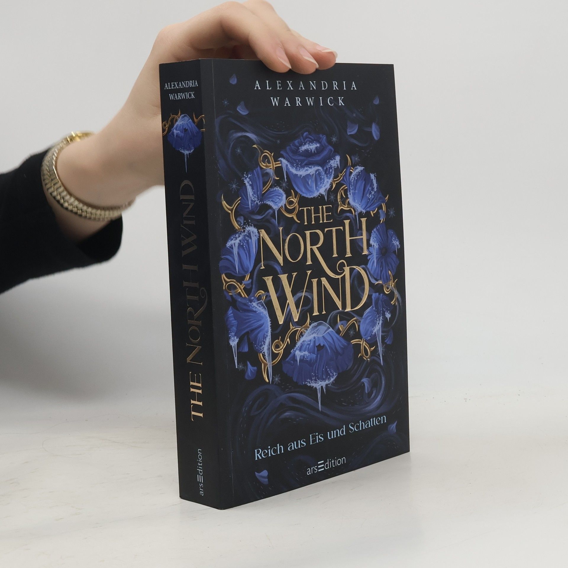 Alexandria Warwick The North Wind - Reich aus Eis und Schatten