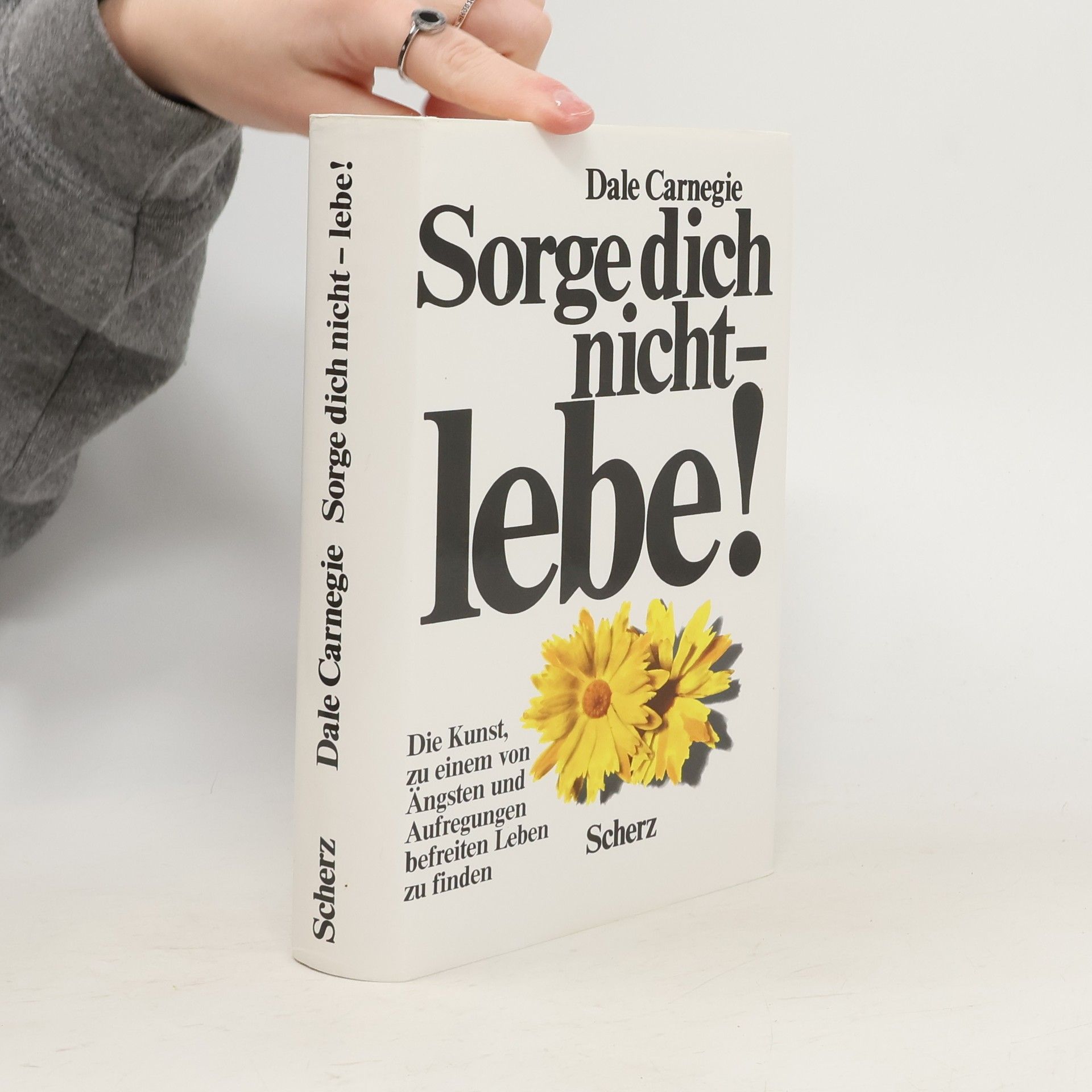 Dale Carnegie Sorge dich nicht - lebe!