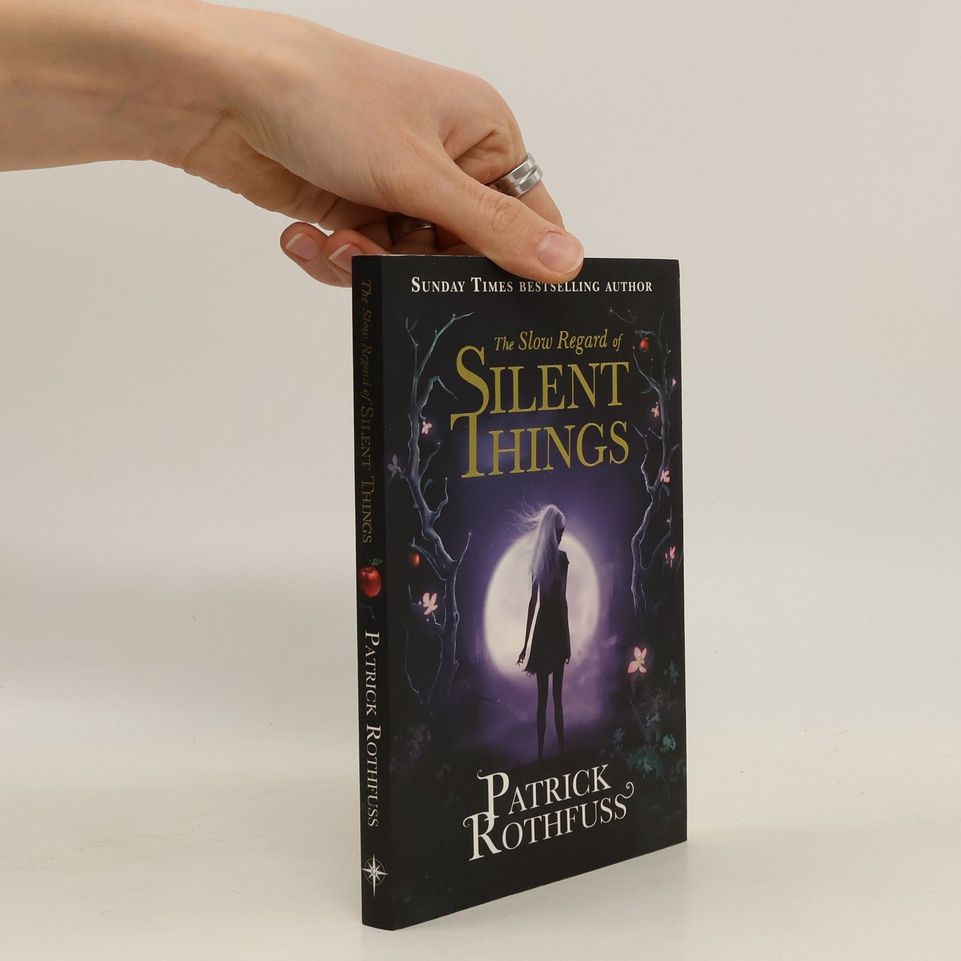 Patrick Rothfuss The Slow Regard of Silent Things
