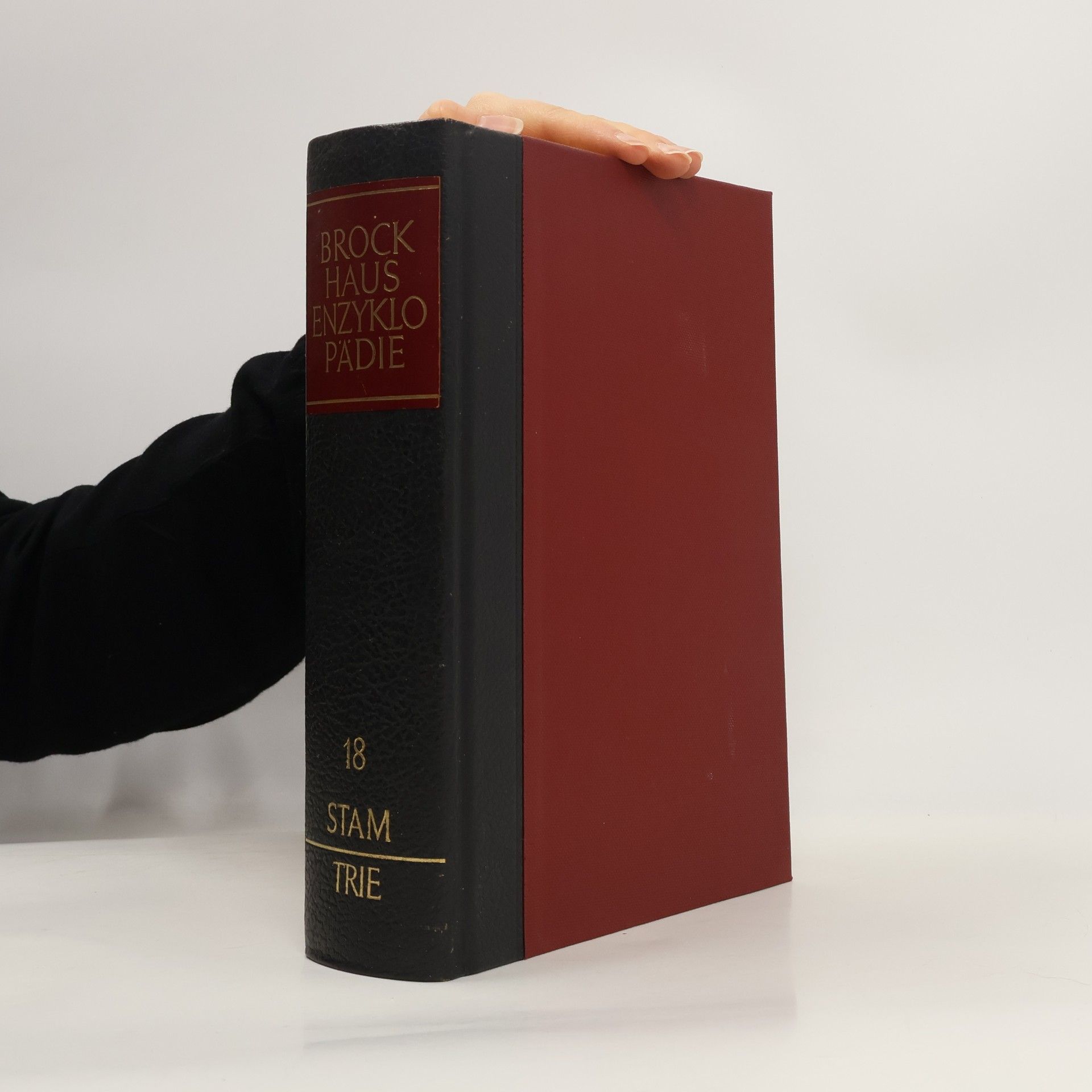 Brockhaus Enzyklopädie 18