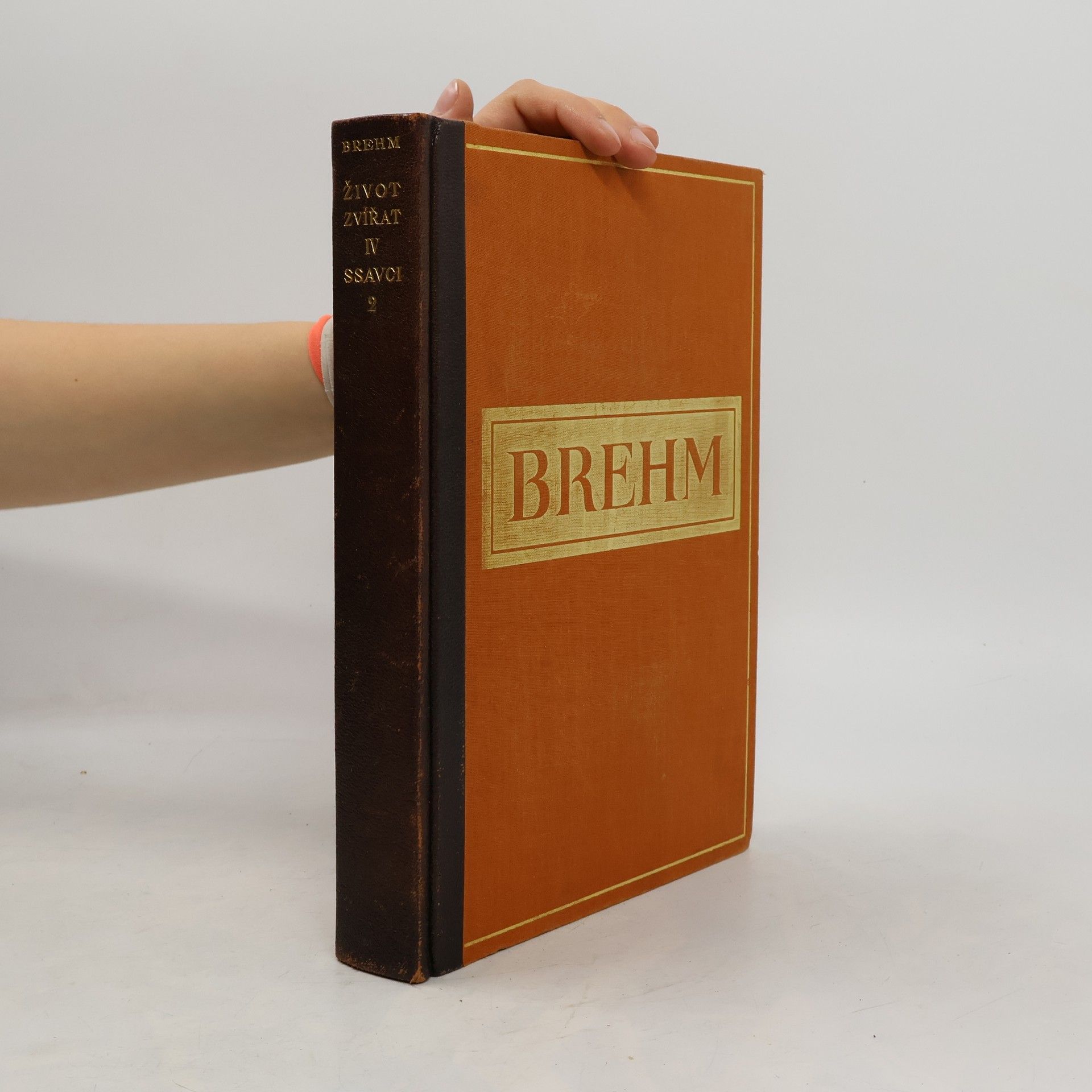 Alfred Edmund Brehm Život zvířat IV. Ssavci 2