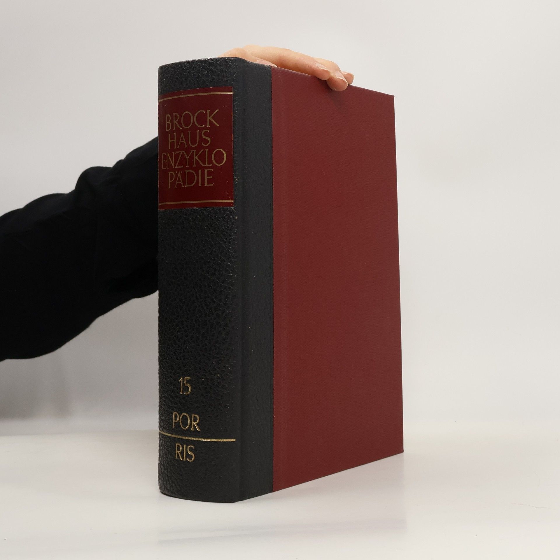 AA.VV. Brockhaus Enzyklopädie 15. Por-Ris
