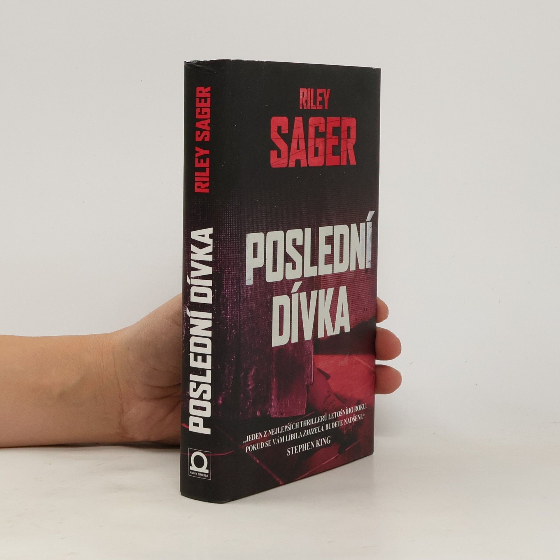 Todd Ritter Poslední dívka