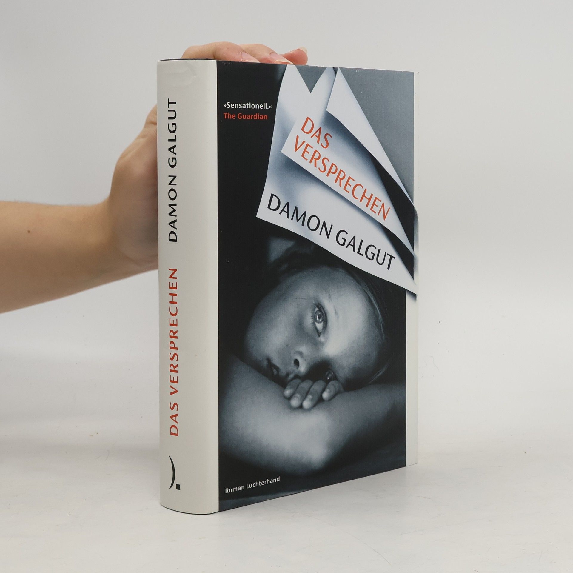 Damon Galgut Das Versprechen