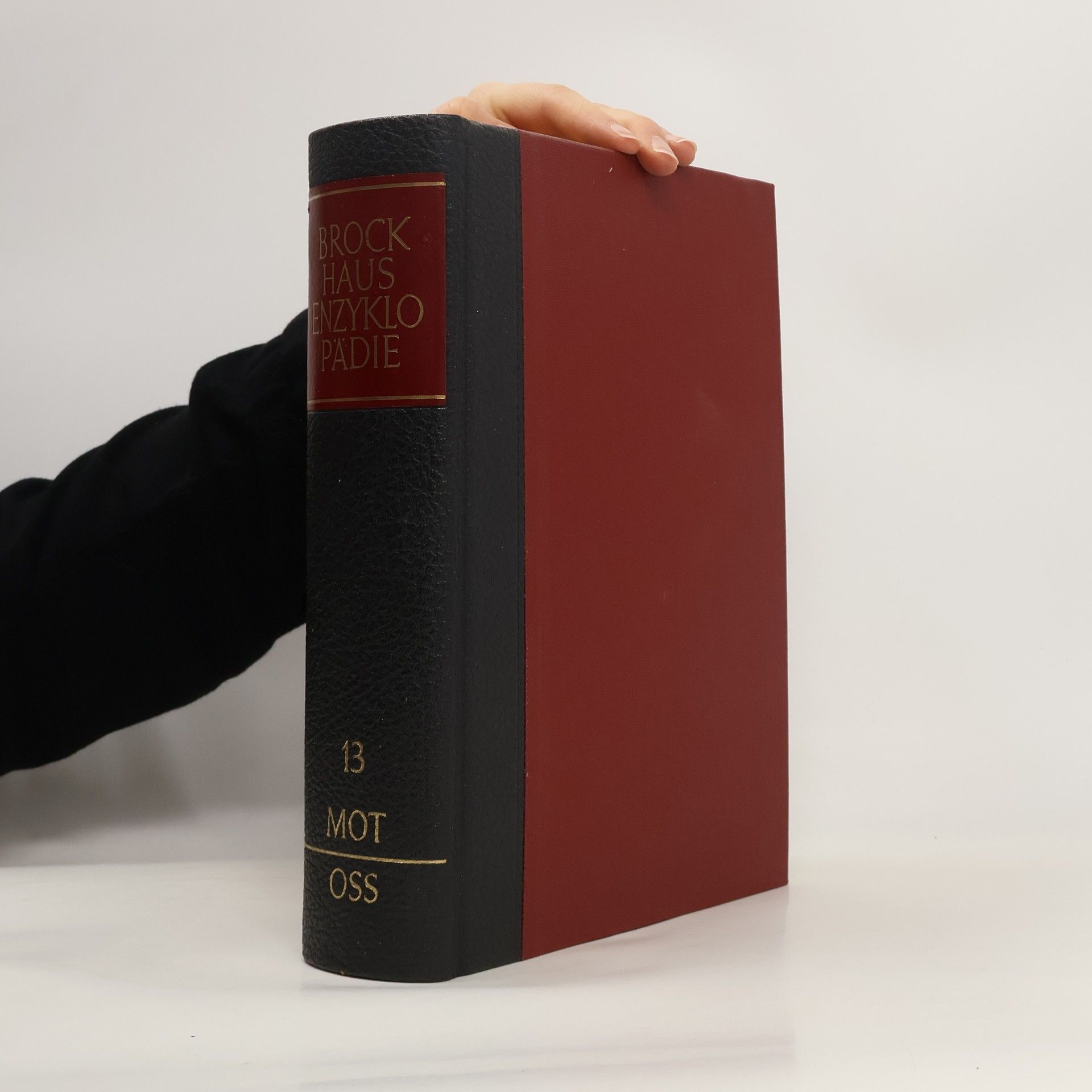 Autorenkollektiv Brockhaus Enzyklopädie in 20 Bänden 13. Mot-Oss