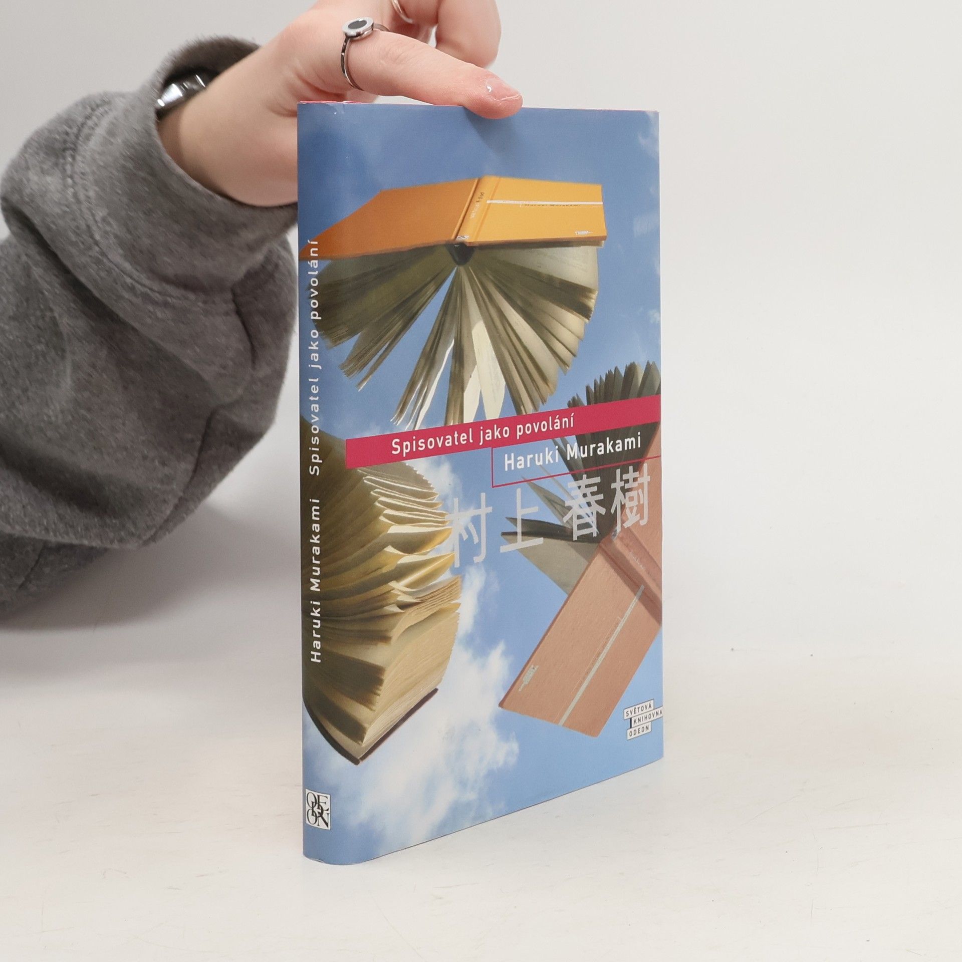 Spisovatel jako povolání