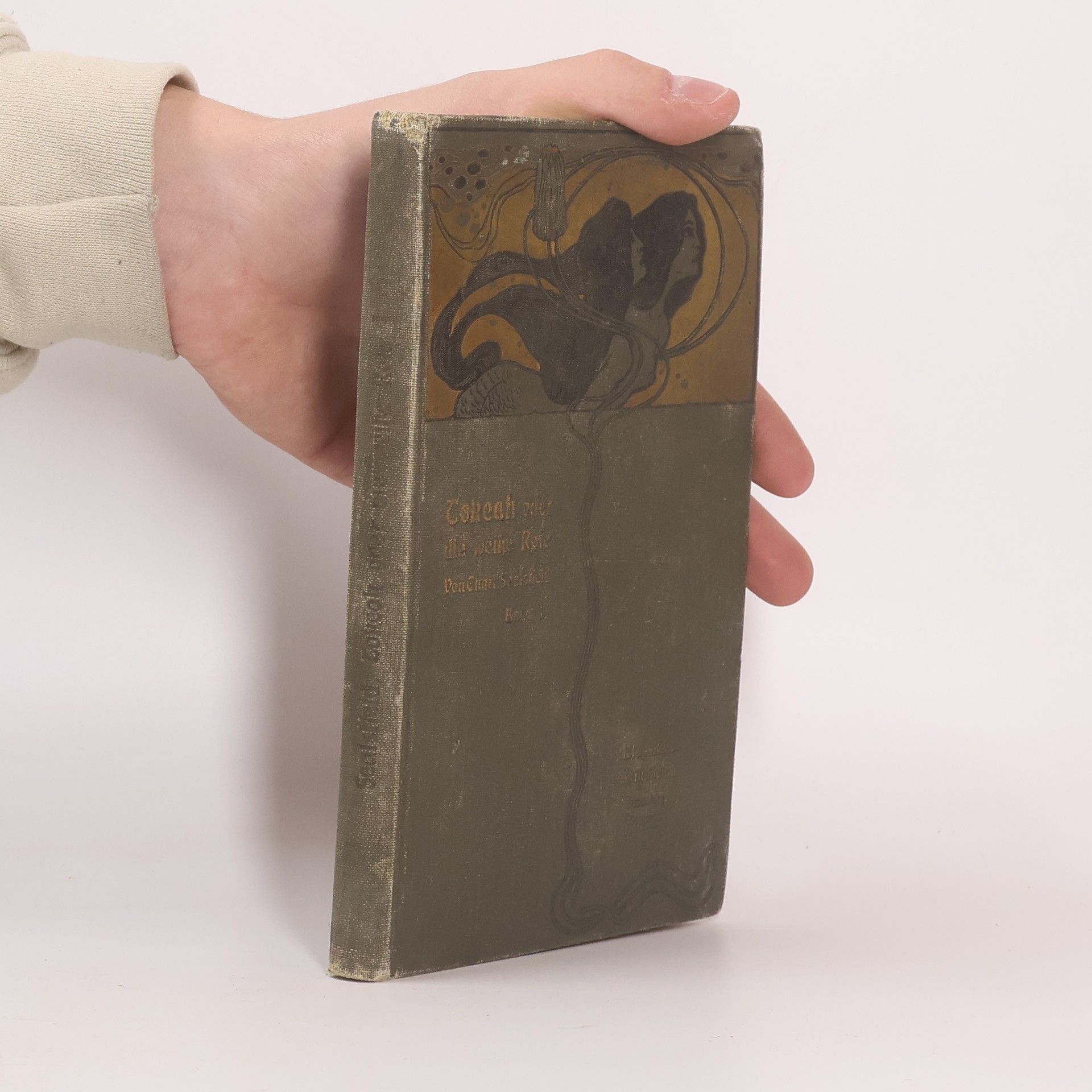 Charles Sealsfield Tokeah oder die weiße Rose. Band 1