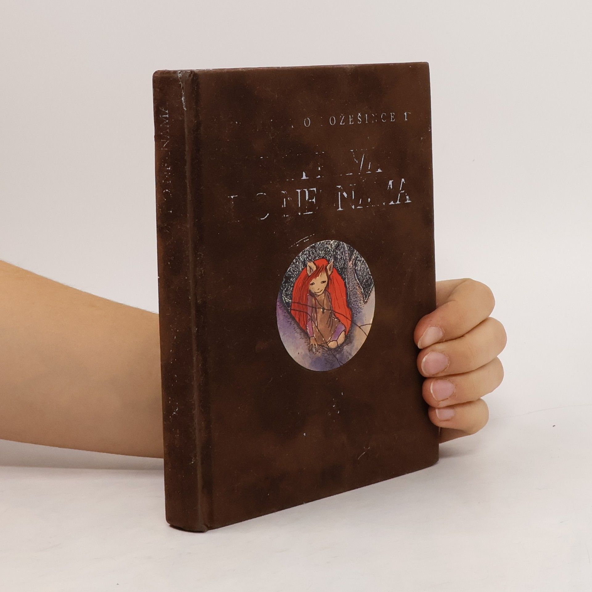 Isobelle Carmody Legenda o Kožešince 1. Výprava do neznáma