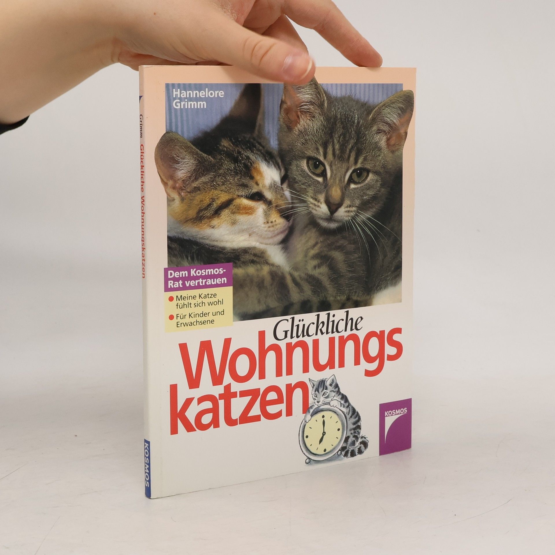 Glückliche Wohnungskatzen