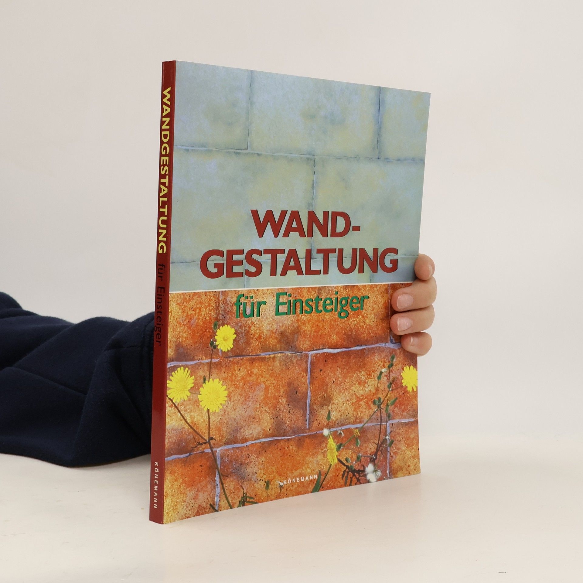 Autores varios Wandgestaltung für Einsteiger