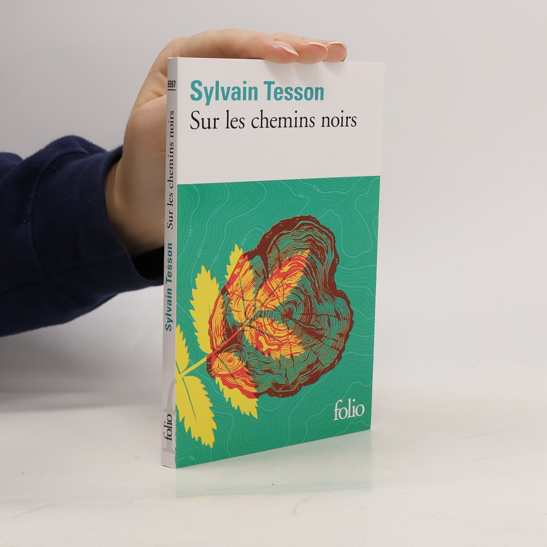 Sylvain Tesson Sur les chemins noirs