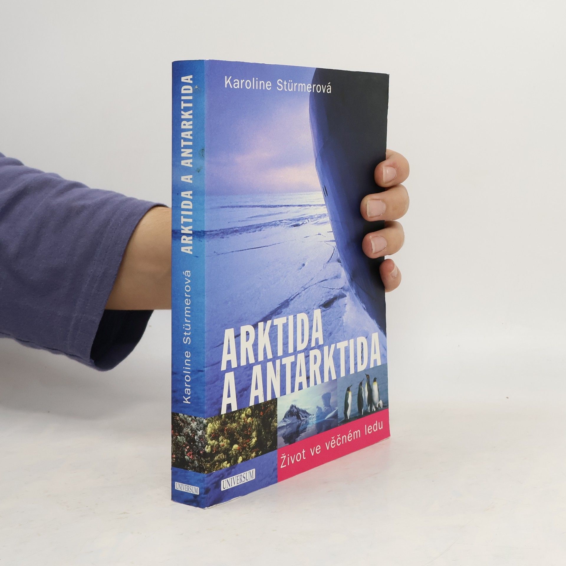 Karoline Stürmer Arktida a Antarktida : život ve věčném ledu