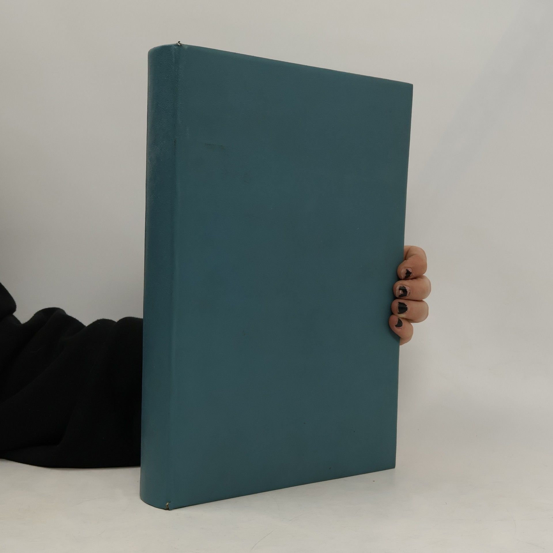 Franz Ruhm Wiener Küche