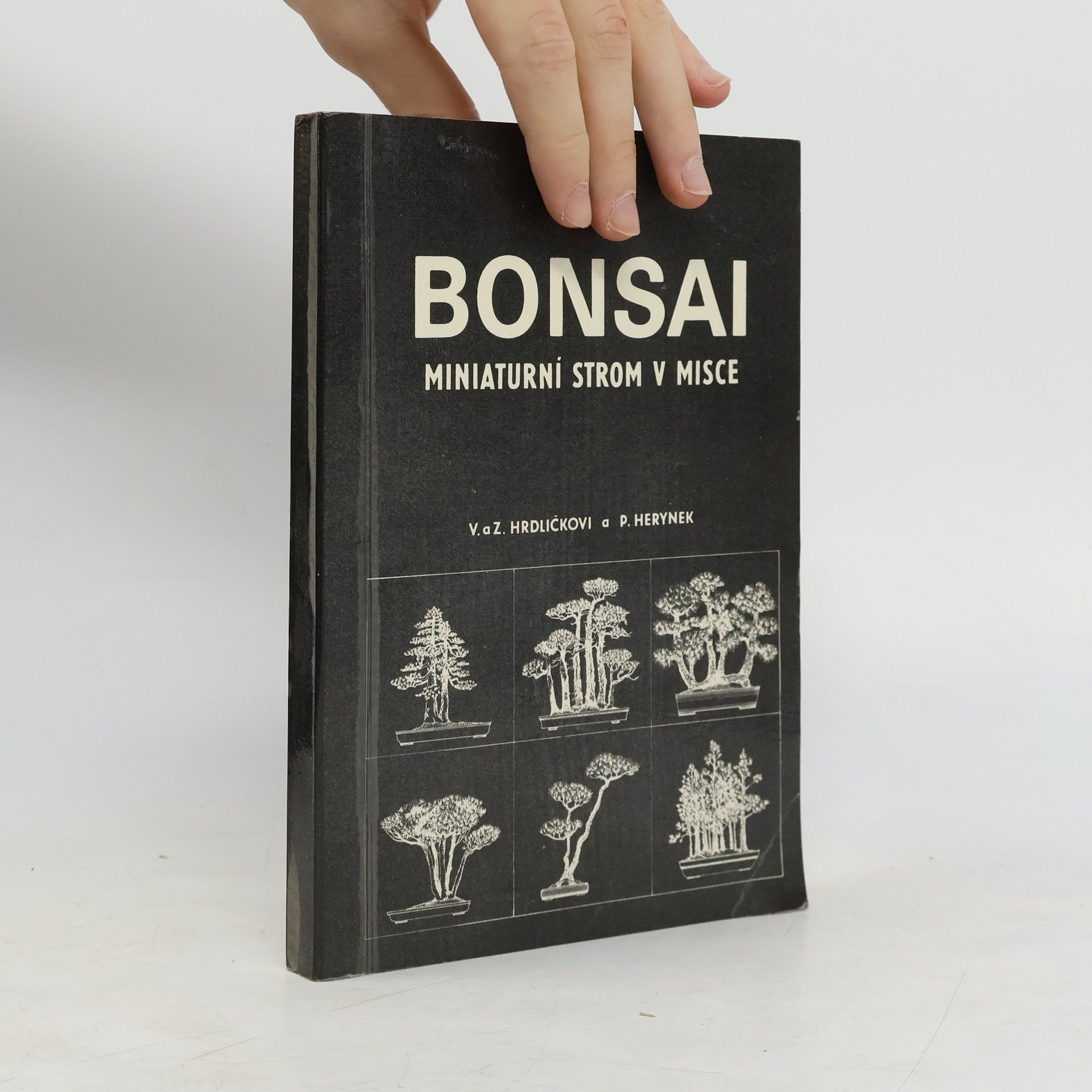 Zdeněk Hrdlička Bonsai. Miniaturní strom v misce