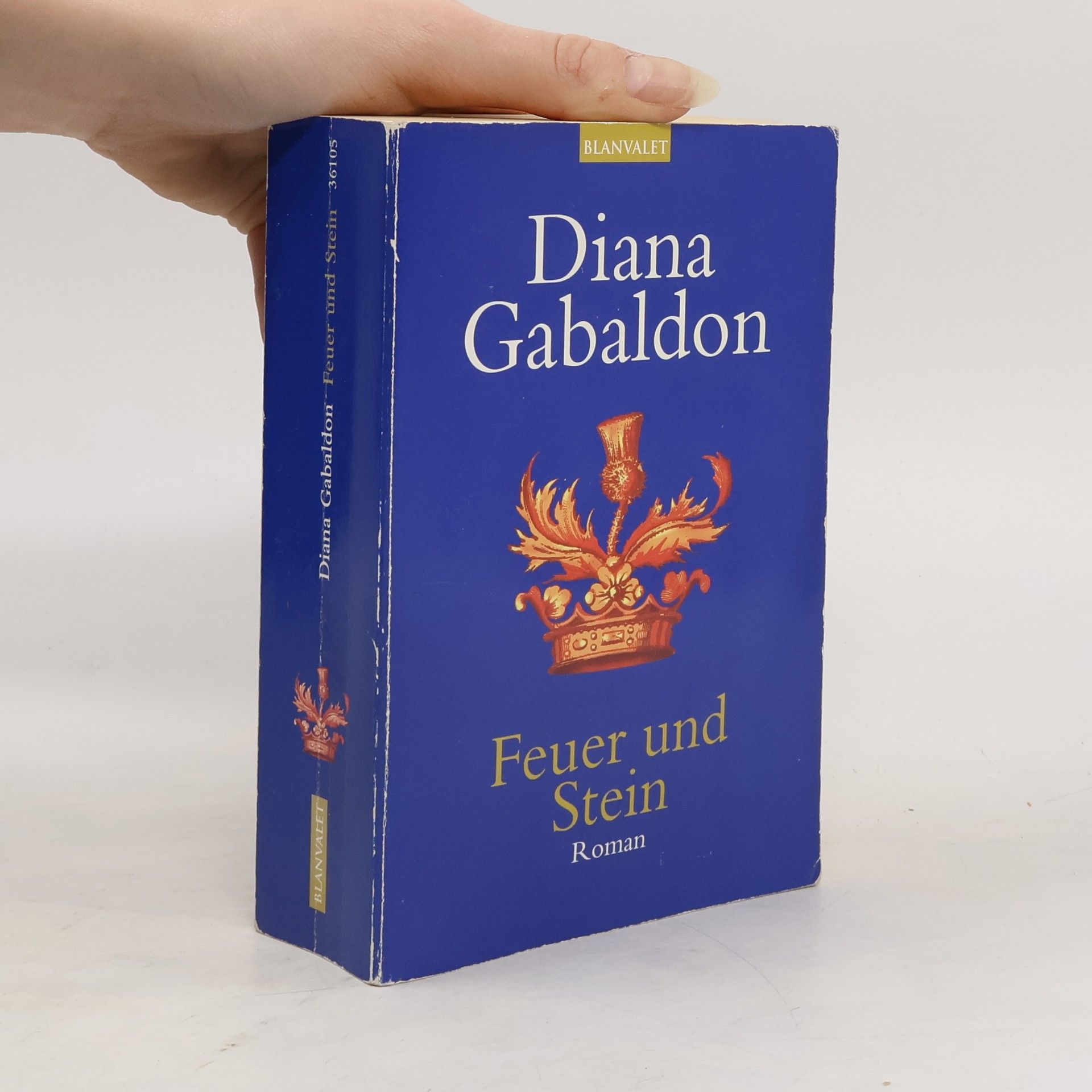 Diana Gabaldon Feuer und Stein