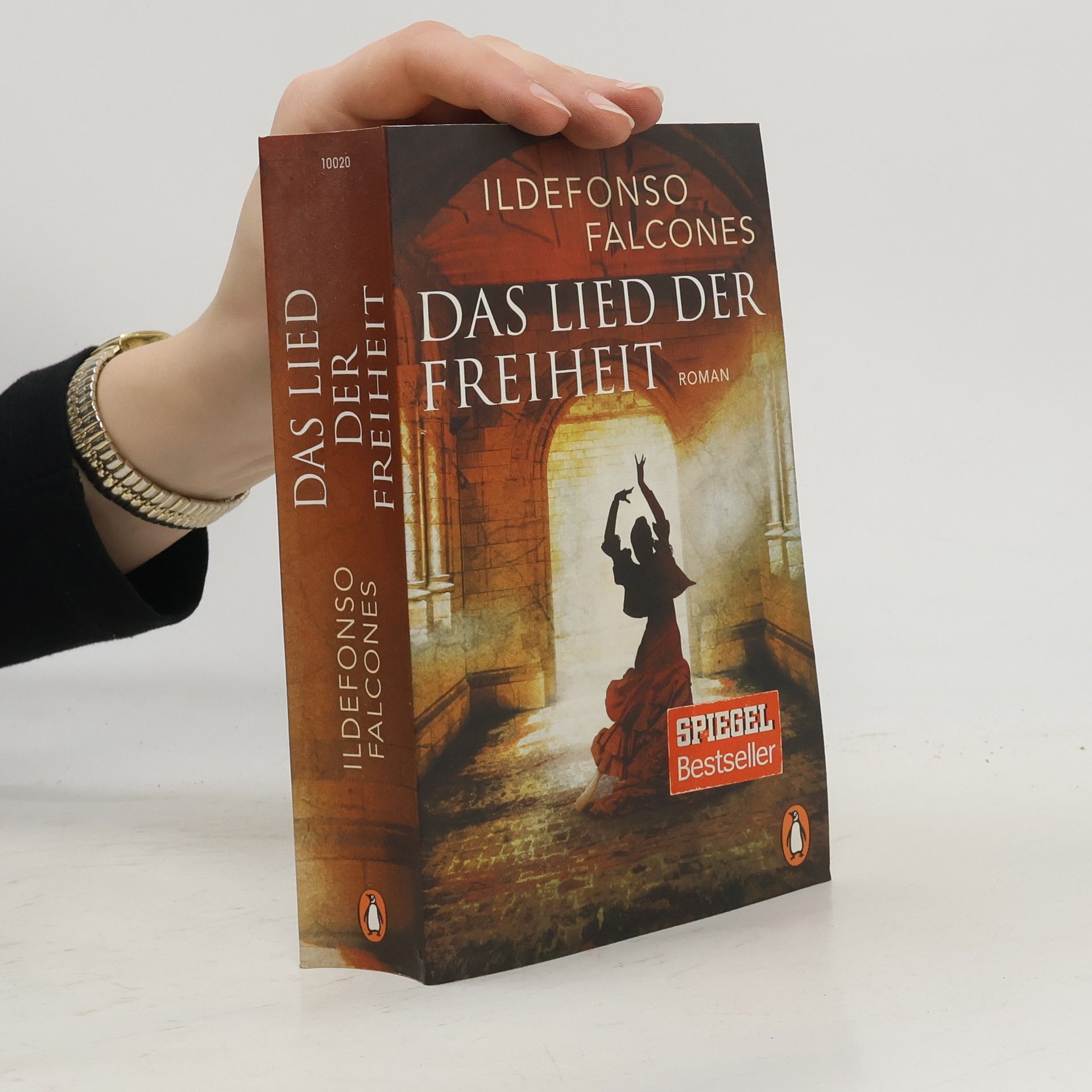 Ildefonso Falcones Das Lied der Freiheit