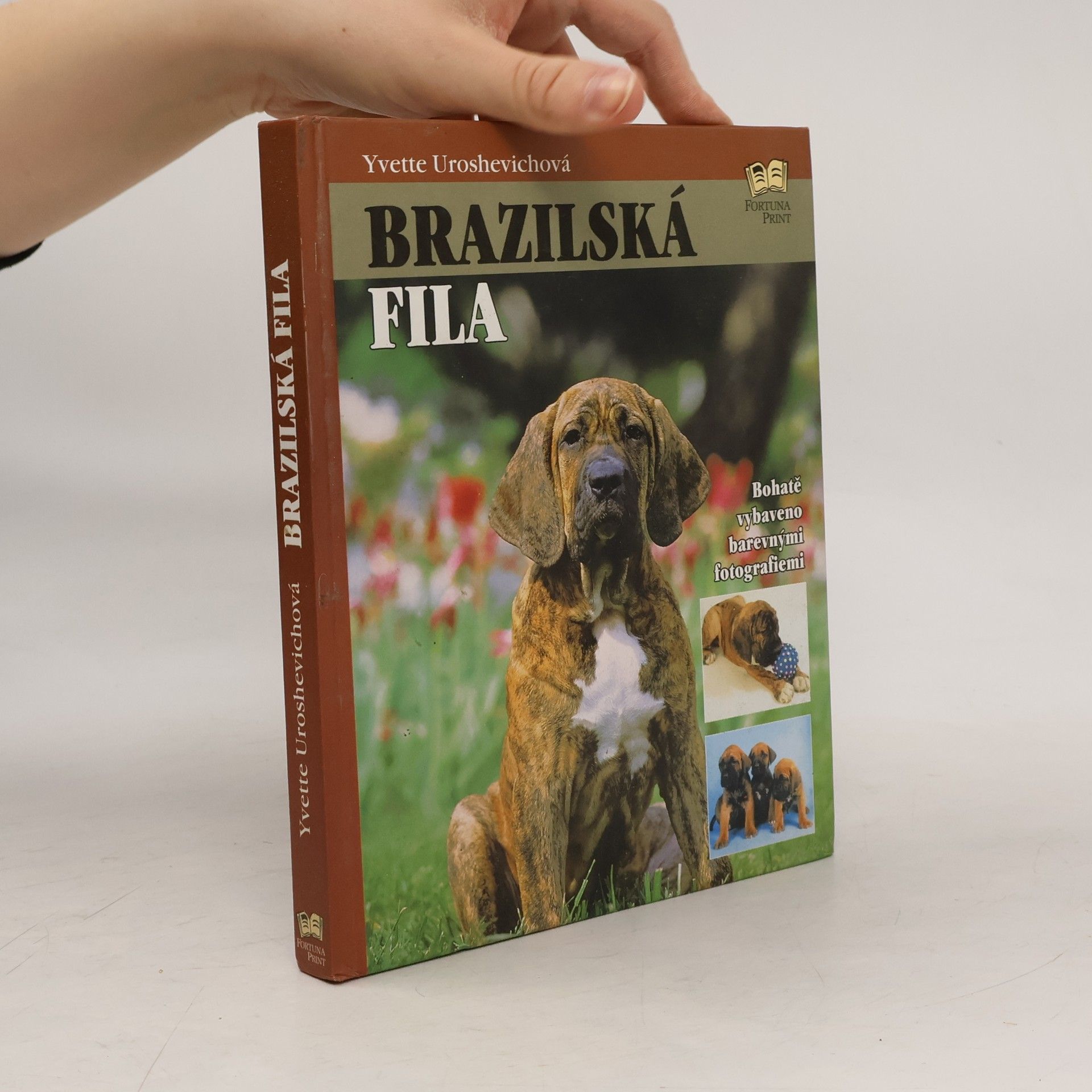 Yvette Uroshevich Brazilská fila