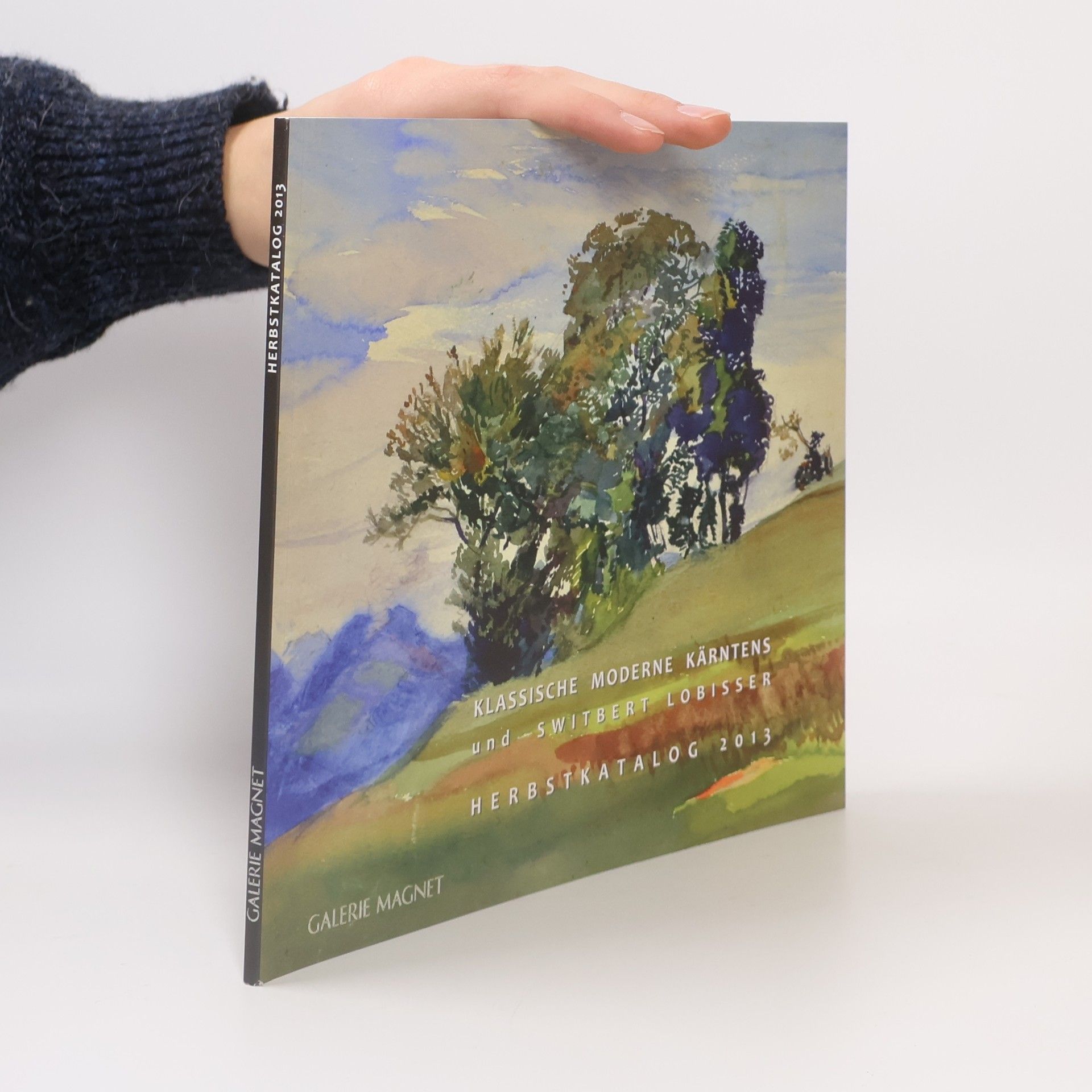 Collectif d'auteurs Galerie Magnet. Herbstkatalog 2013