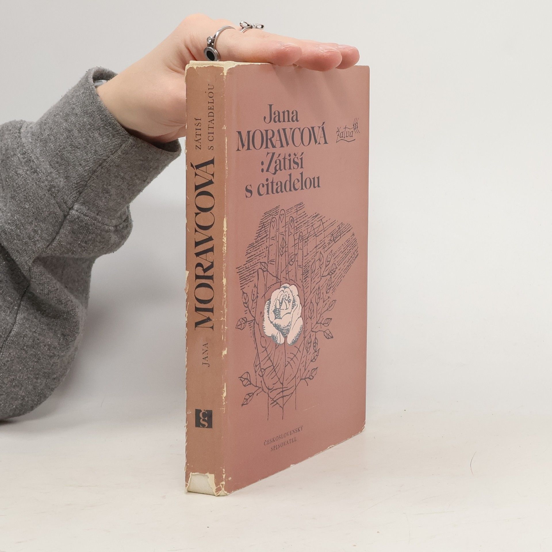 Zátiší s citadelou