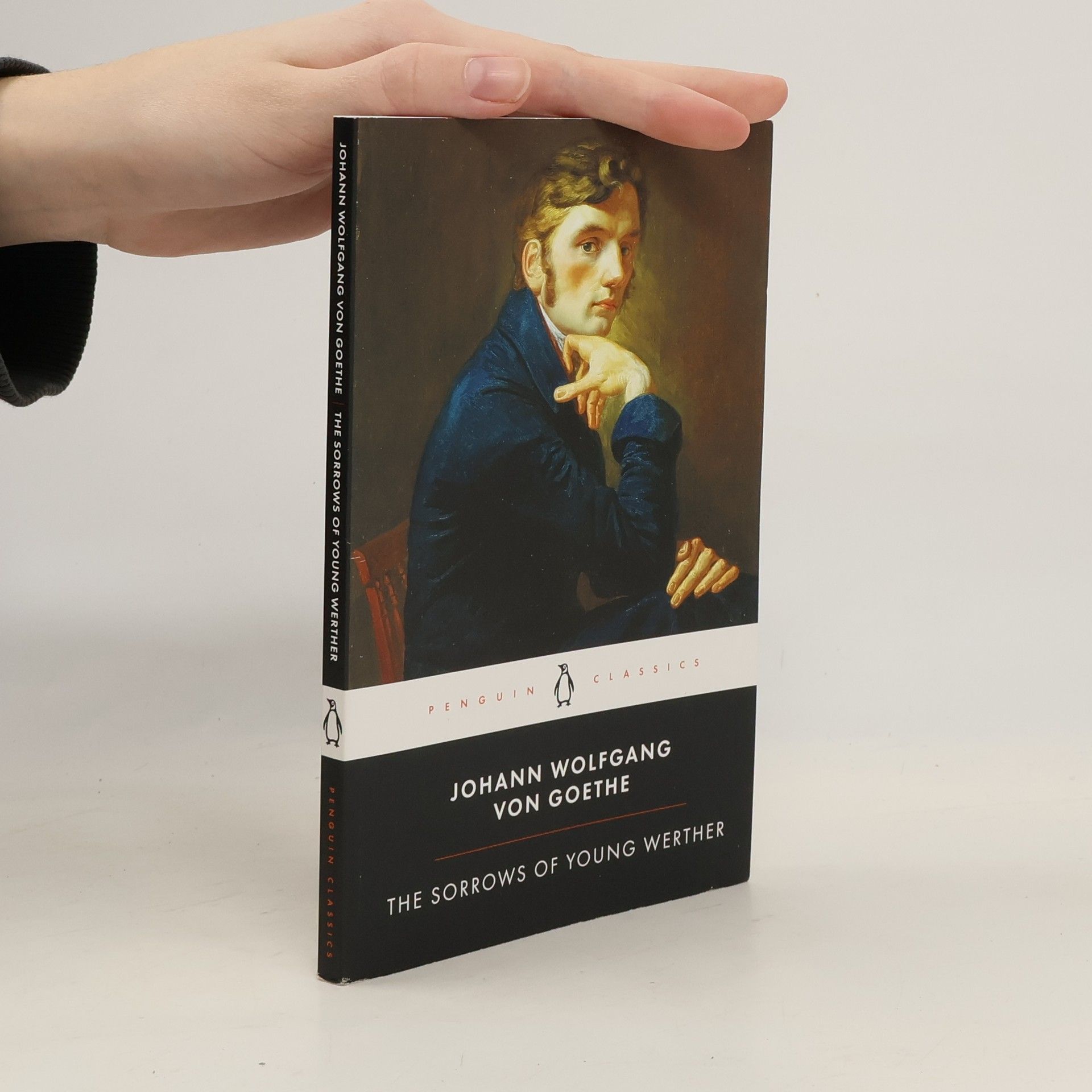 Johann Wolfgang von Goethe The Sorrows of Young Werther