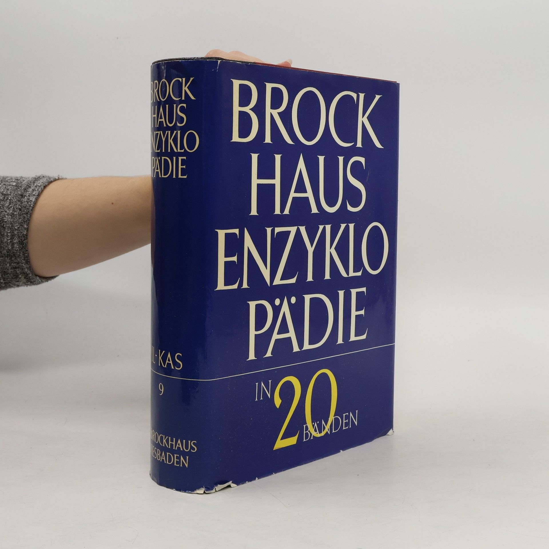 AA.VV. Brockhaus Enzyklopädie 9. Il-Kas