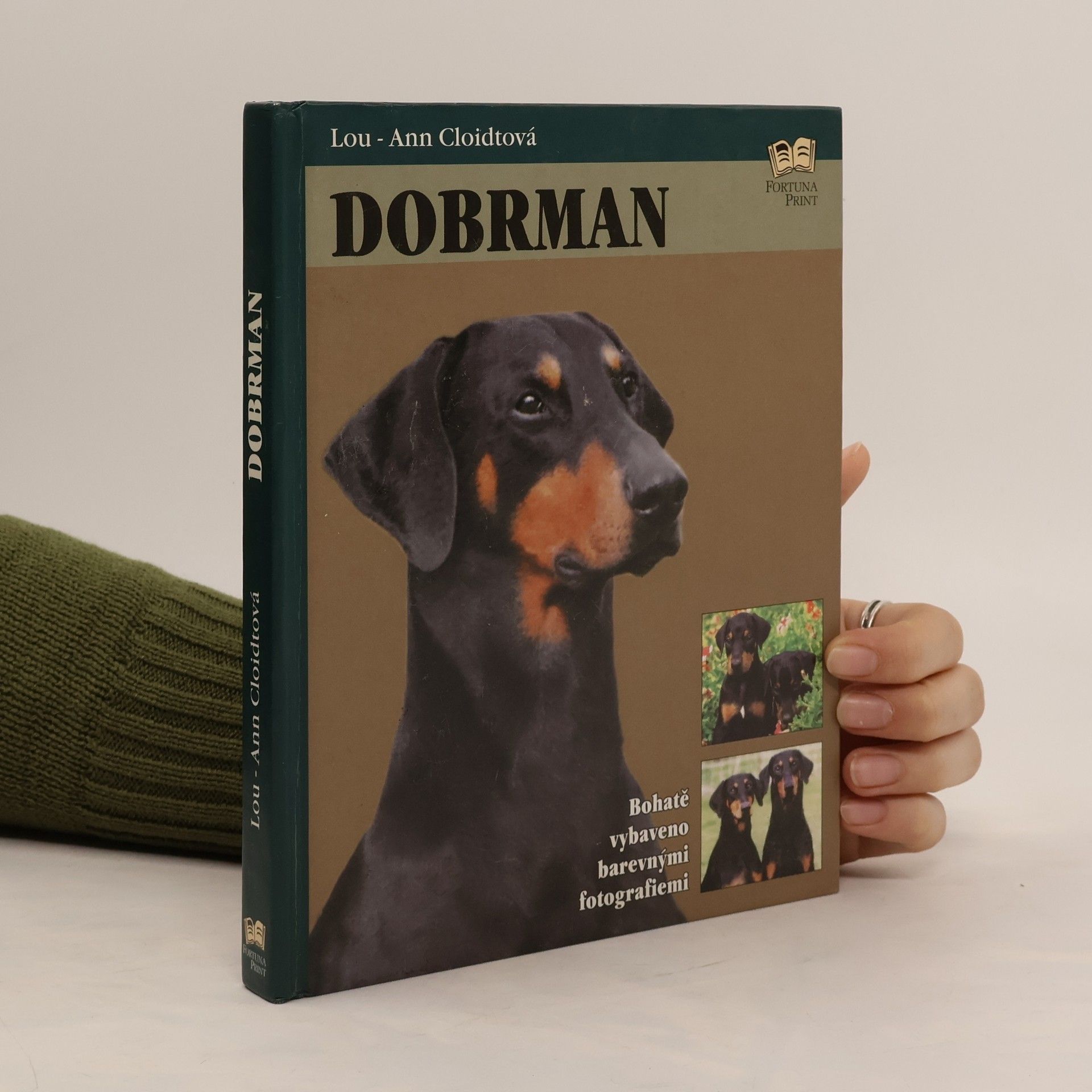 Lou Ann Cloidt Dobrman