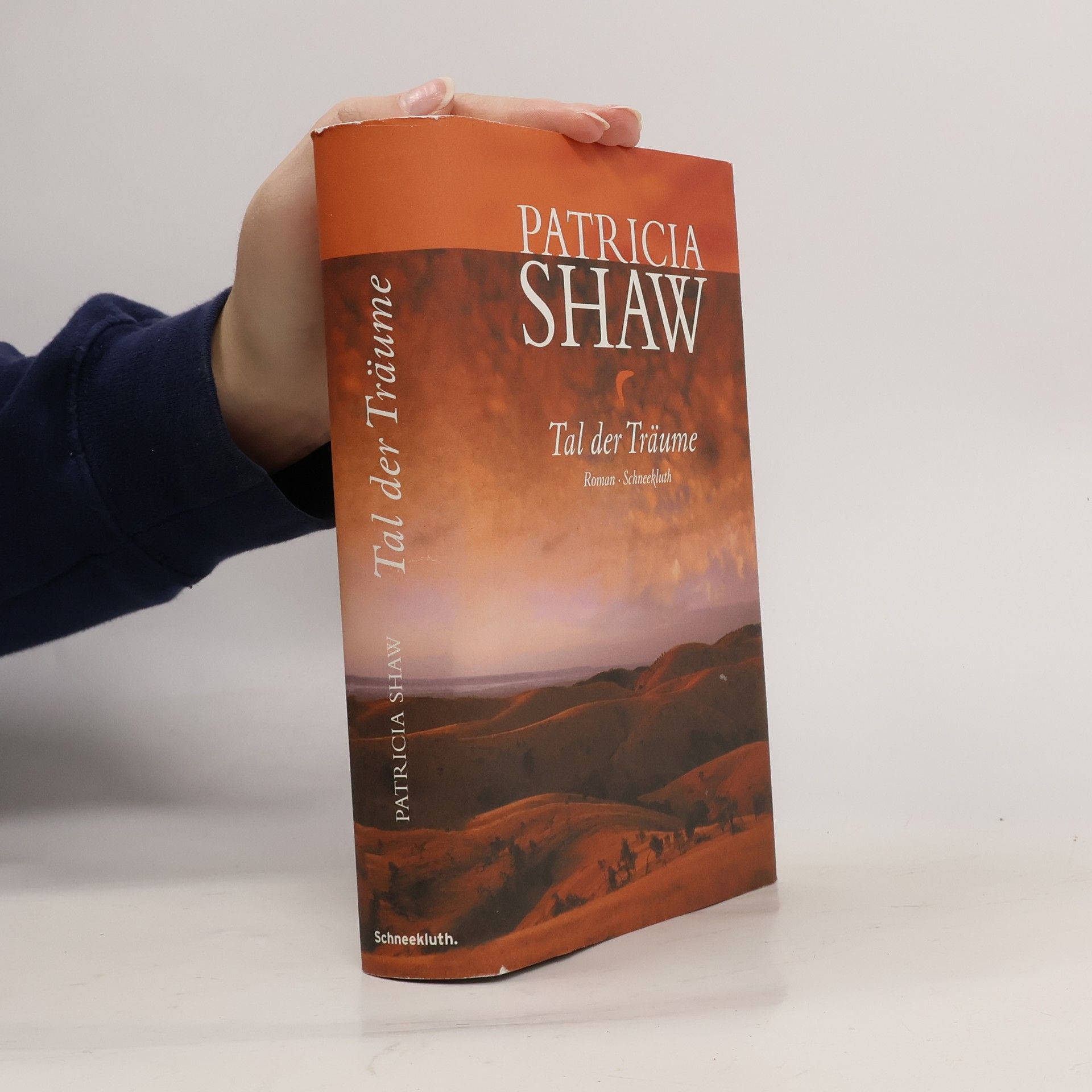 Patricia Shaw Tal der Träume
