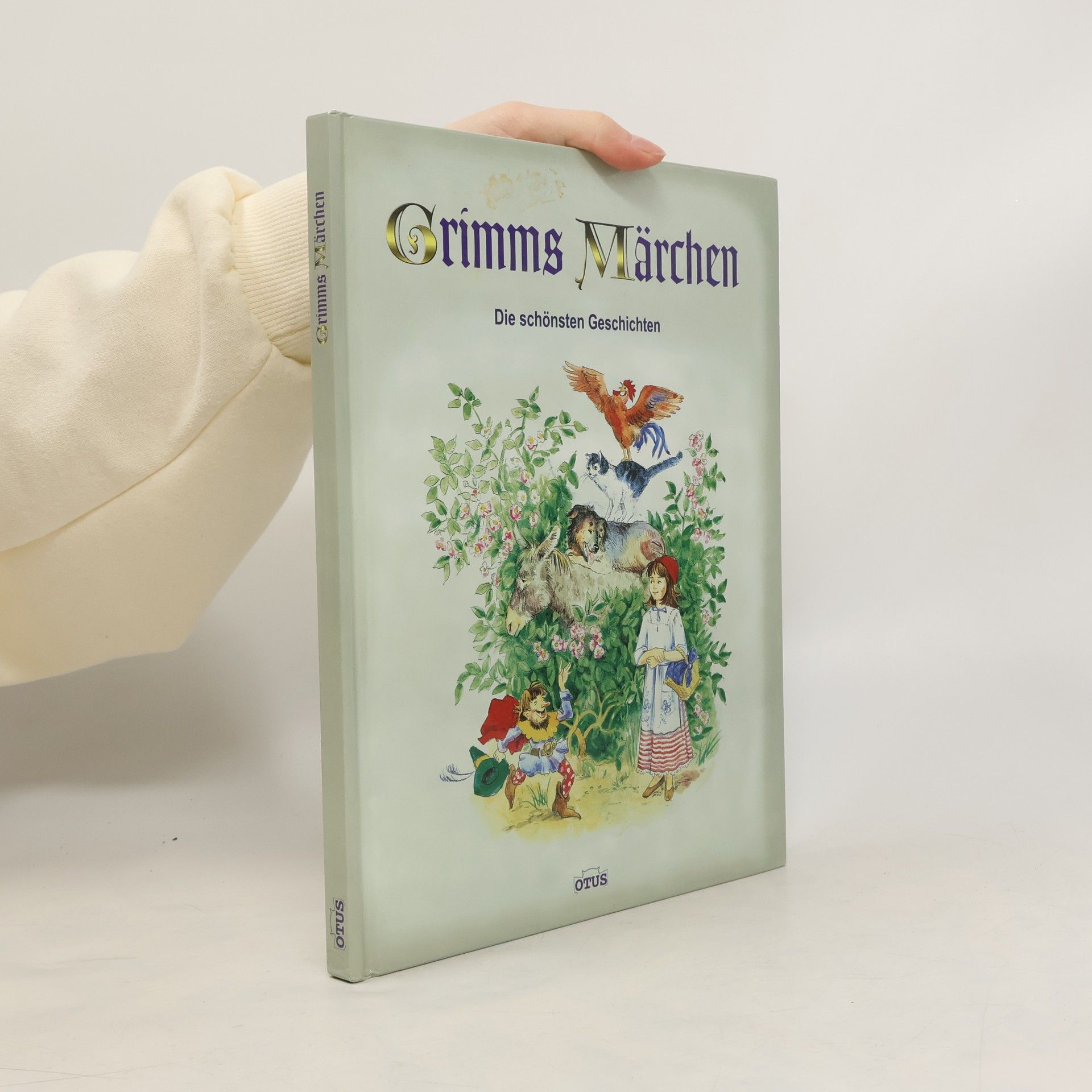 Autorenkollektiv Grimms Märchen